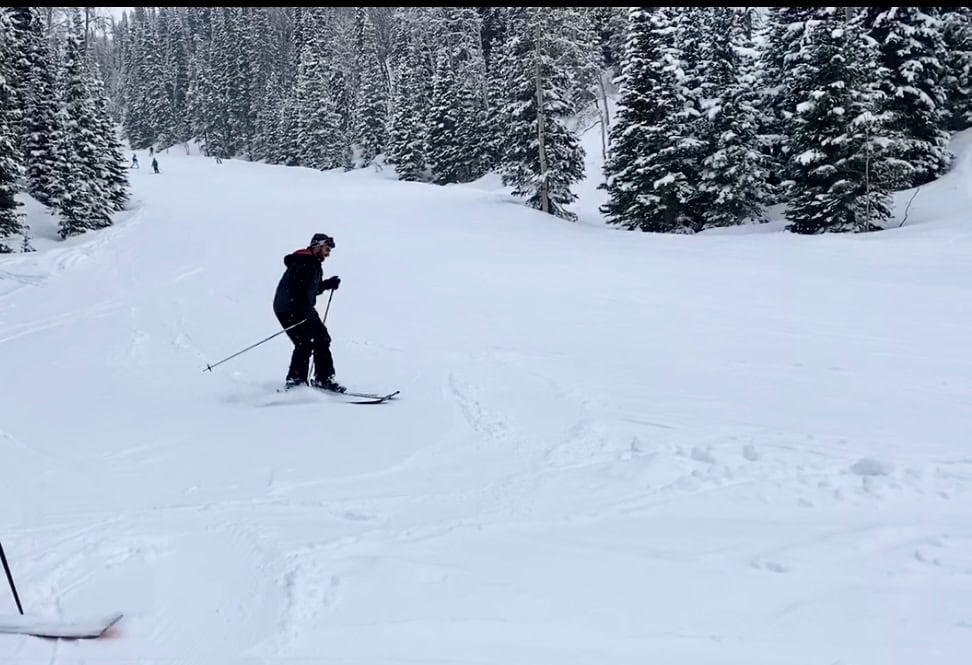 A skier gliding through fresh snow at Deer Valley Resort surrounded by pine trees.