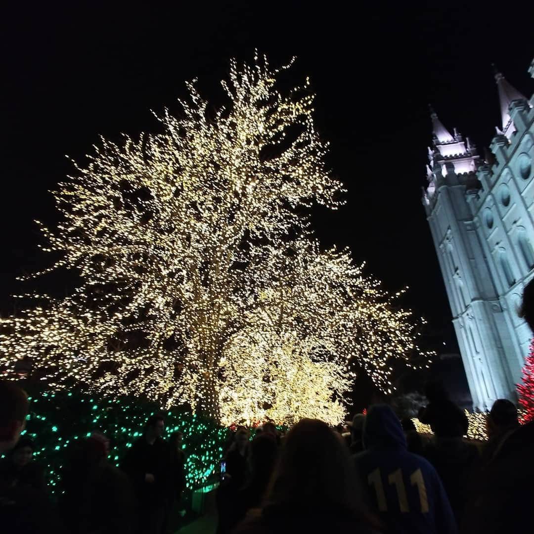 Temple Square at night glowing with thousands of white lights wrapped around trees during the holiday season.