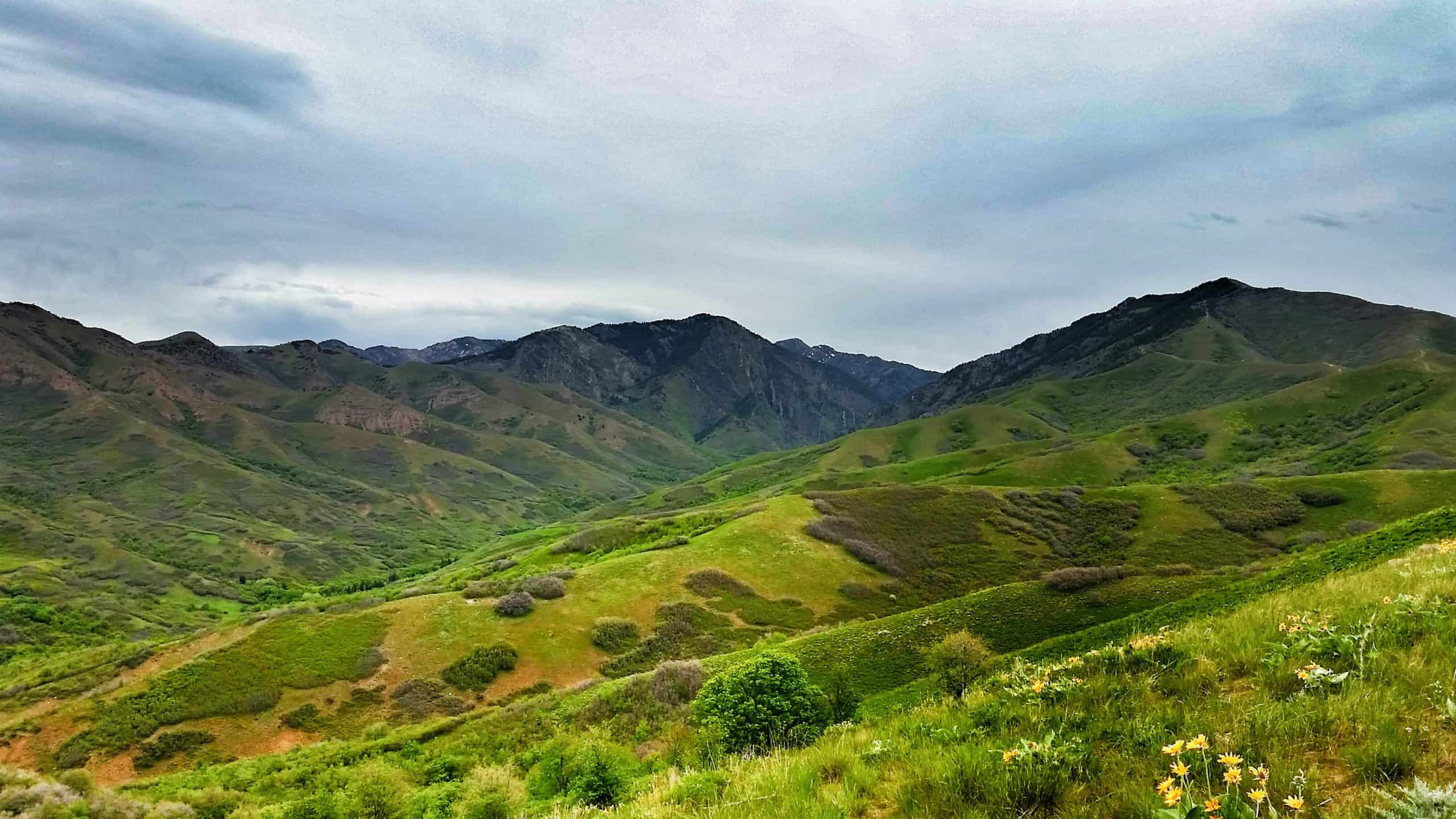 Scenic open visa of green grassy hills and mountains under dark gloomy skies near Salt Lake City