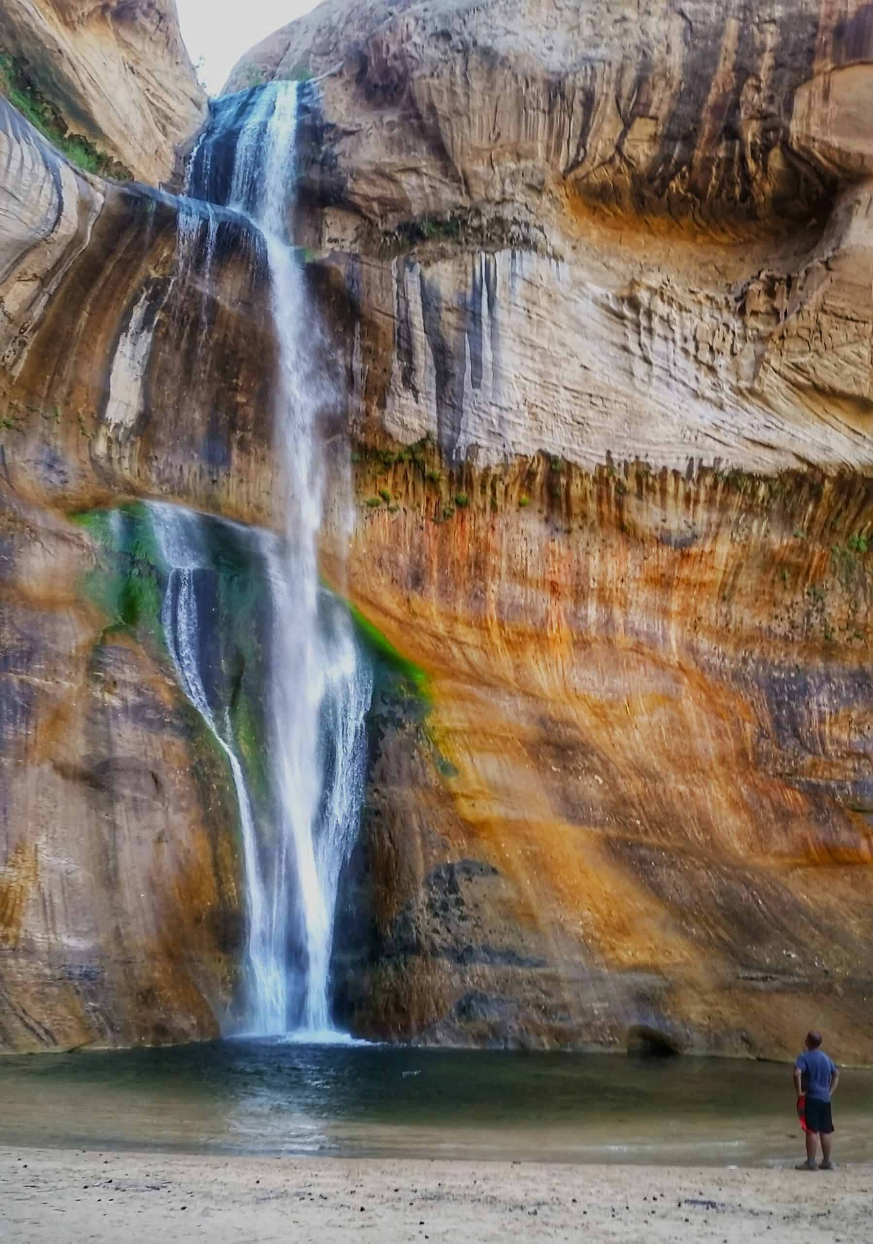 A person enjoying the Lower Calf Creek hike in Utah, gazing up at a tall waterfall as it cascades down a sandstone cliff face into a pool below