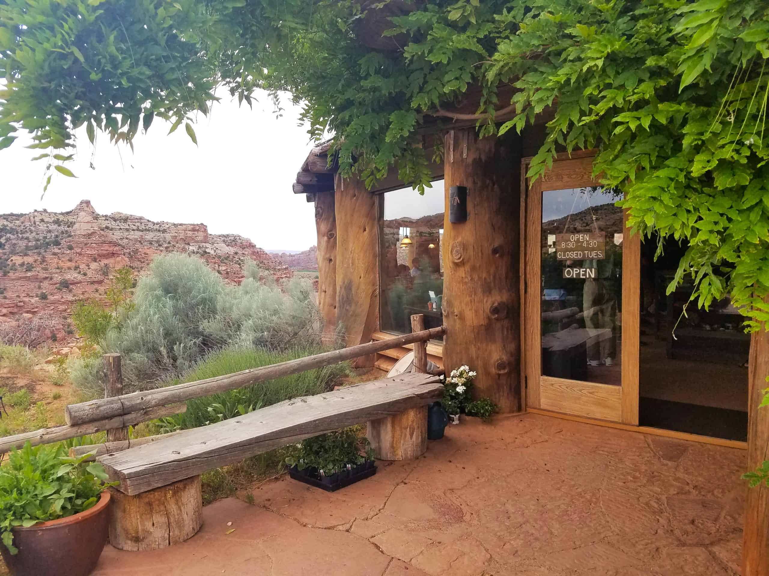 Entrance of a wooden coffeeshop framed by a canopy of green trees and a bench. 