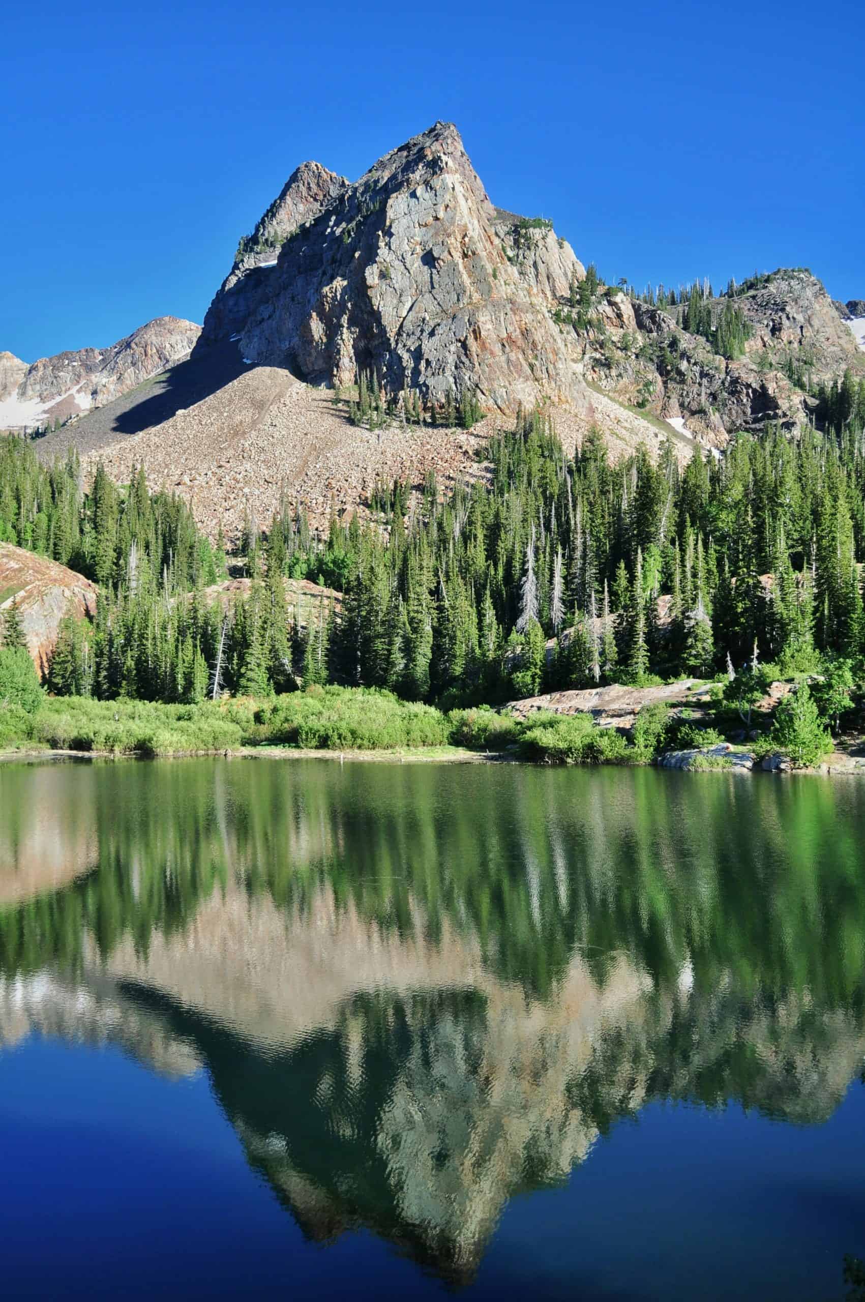 Sundial Peak reflected in calm waters at Lake Blanche in Big Cottonwood Canyon, with green trees and grassy meadows under blue skies