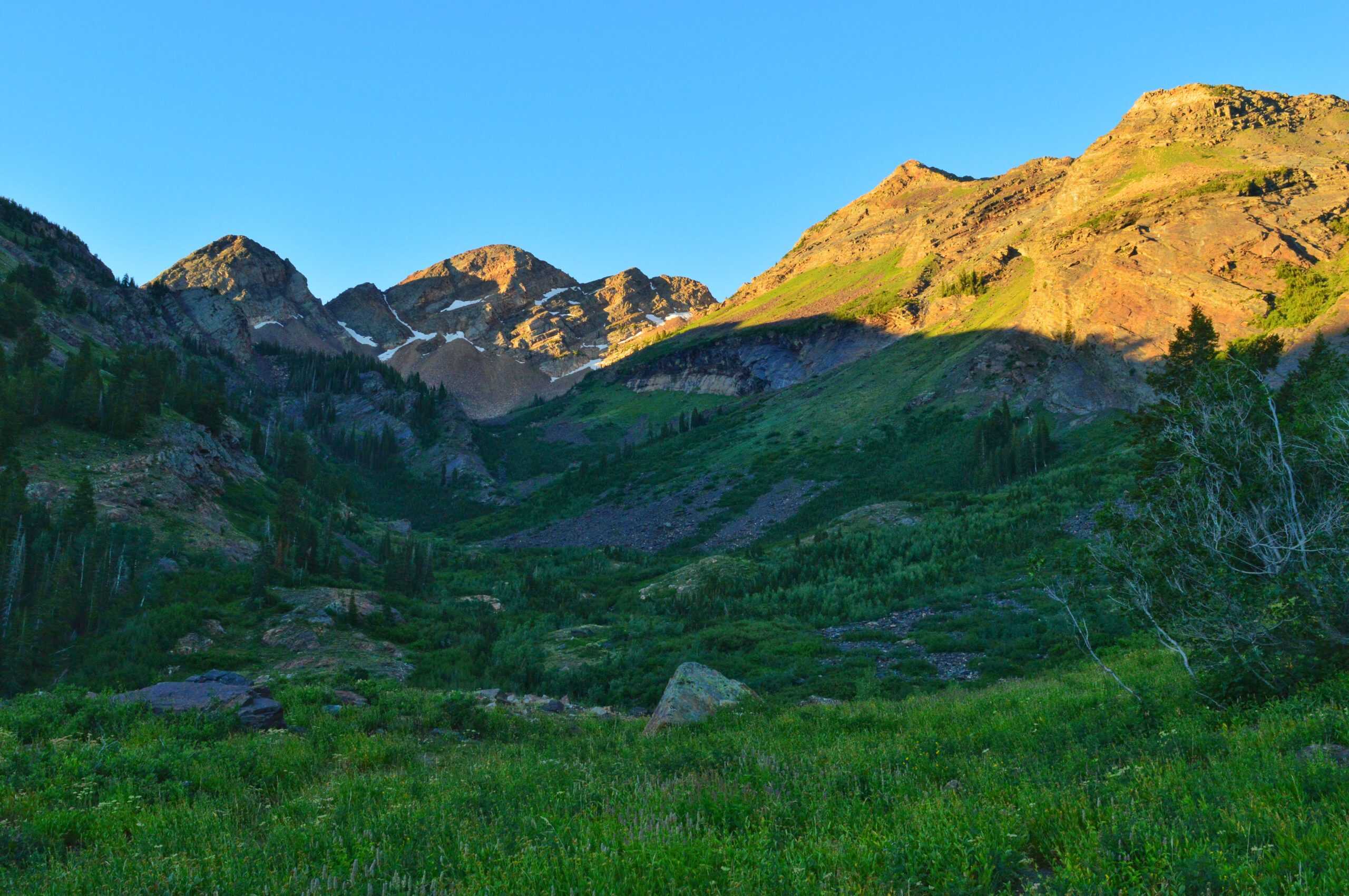 Open view of green alpine slopes and rugged mountains in golden light at Broads Fork meadow, a scenic hike in Big Cottonwood Canyon