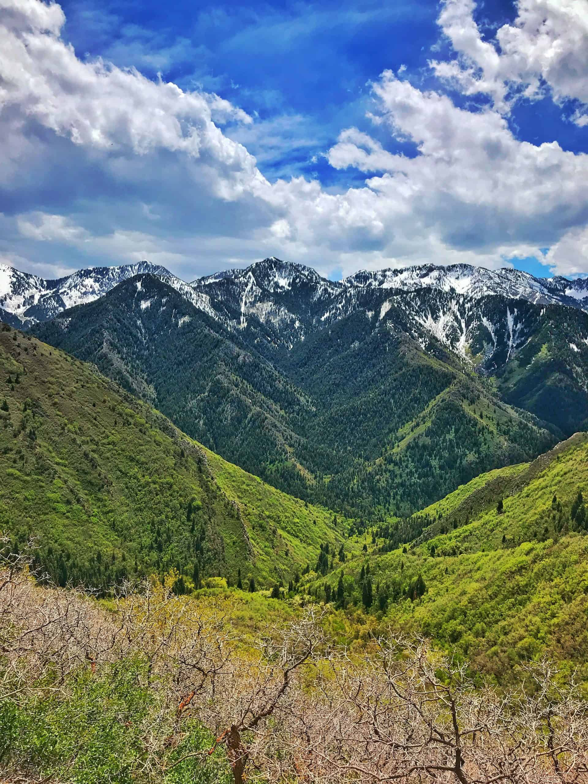 Open view from the Grandeur Peak Trail, looking down towards Millcreek Canyon, with green mountain slopes and snowcapped peaks. 