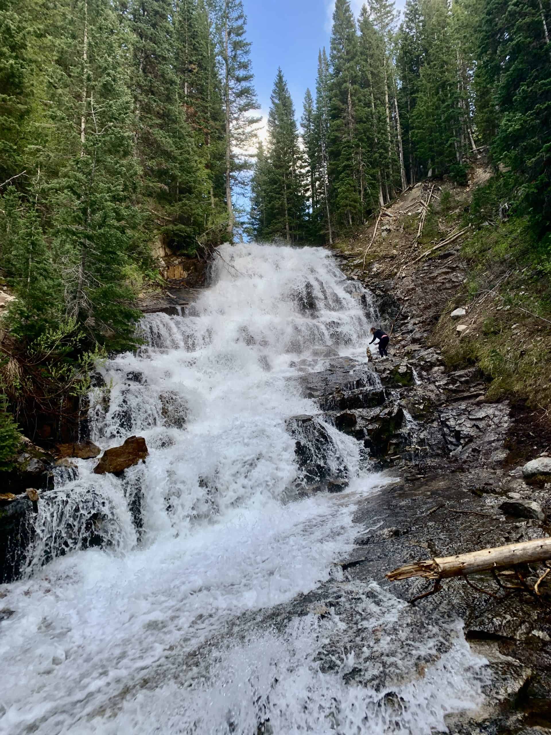 The stunning Gloria Falls nestled within a deep forest, a quick stop along the Red Pine Lake hike in Utah. 