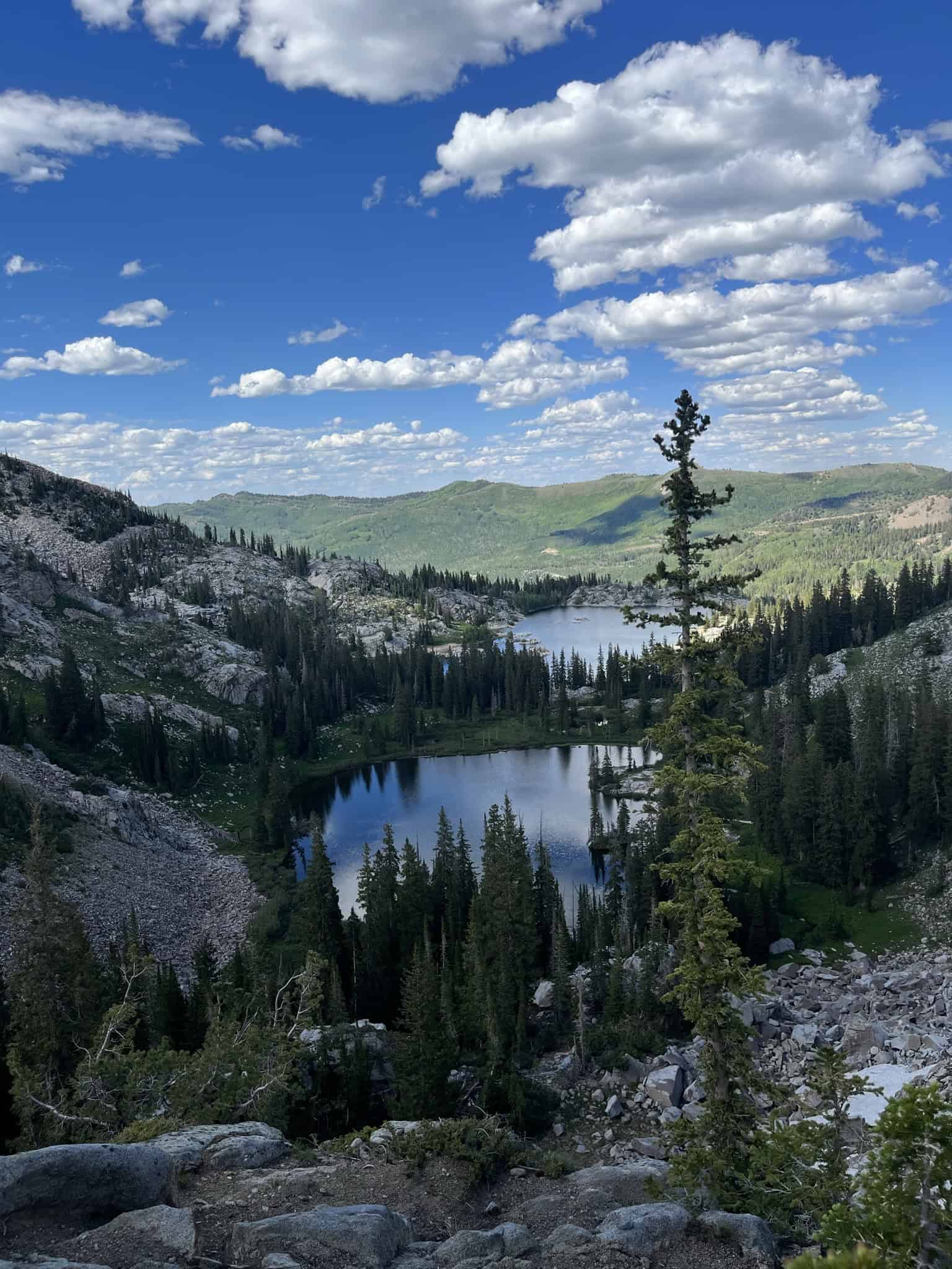 Overlook of Lake Martha and Lake Mary nestled among forested mountains along one of the best hikes in Big Cottonwood Canyon