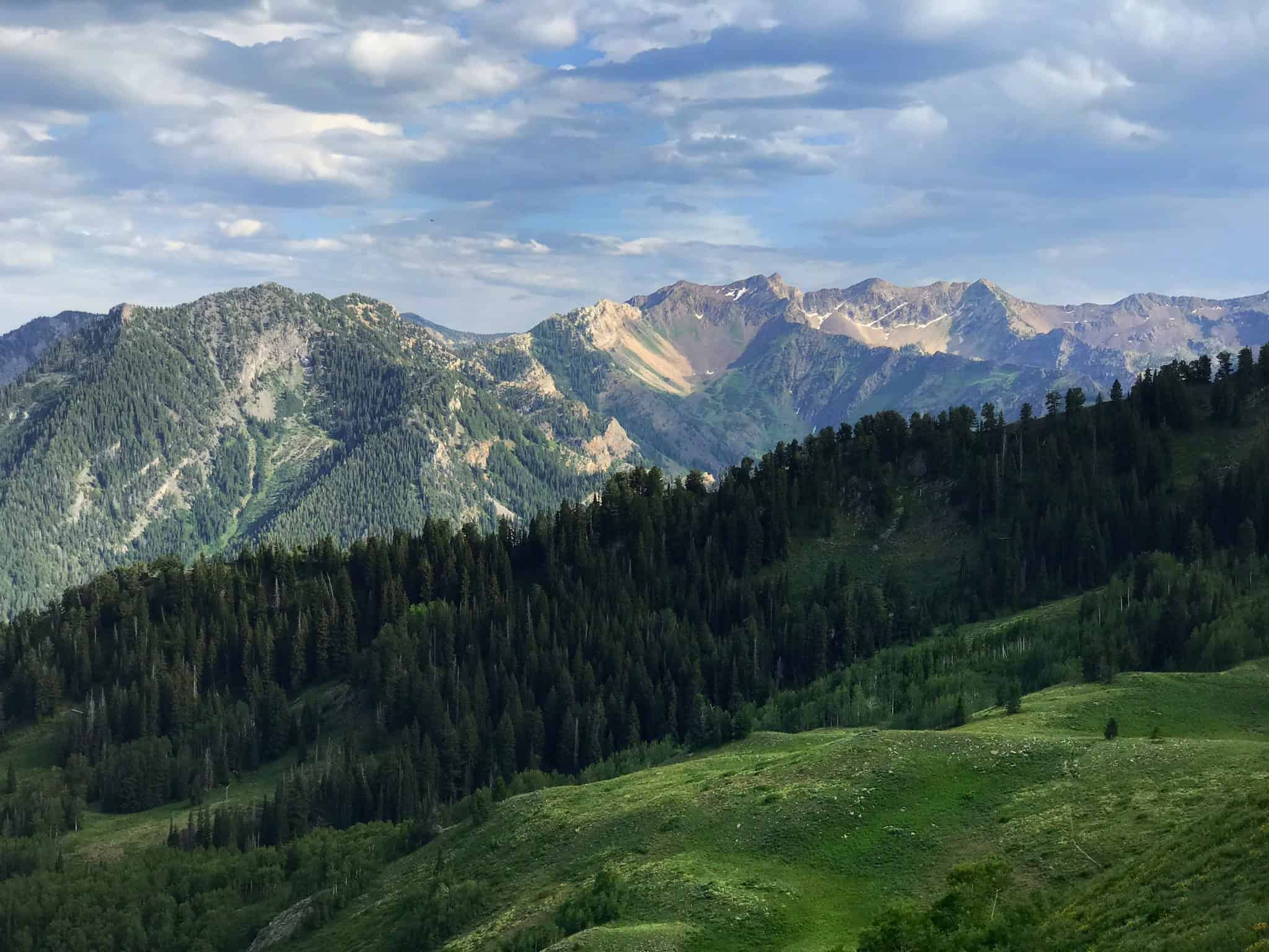 Lush green meadow and forested mountain peaks viewed on the scenic hiking trail to Gobblers Knob in Big Cottonwood Canyon