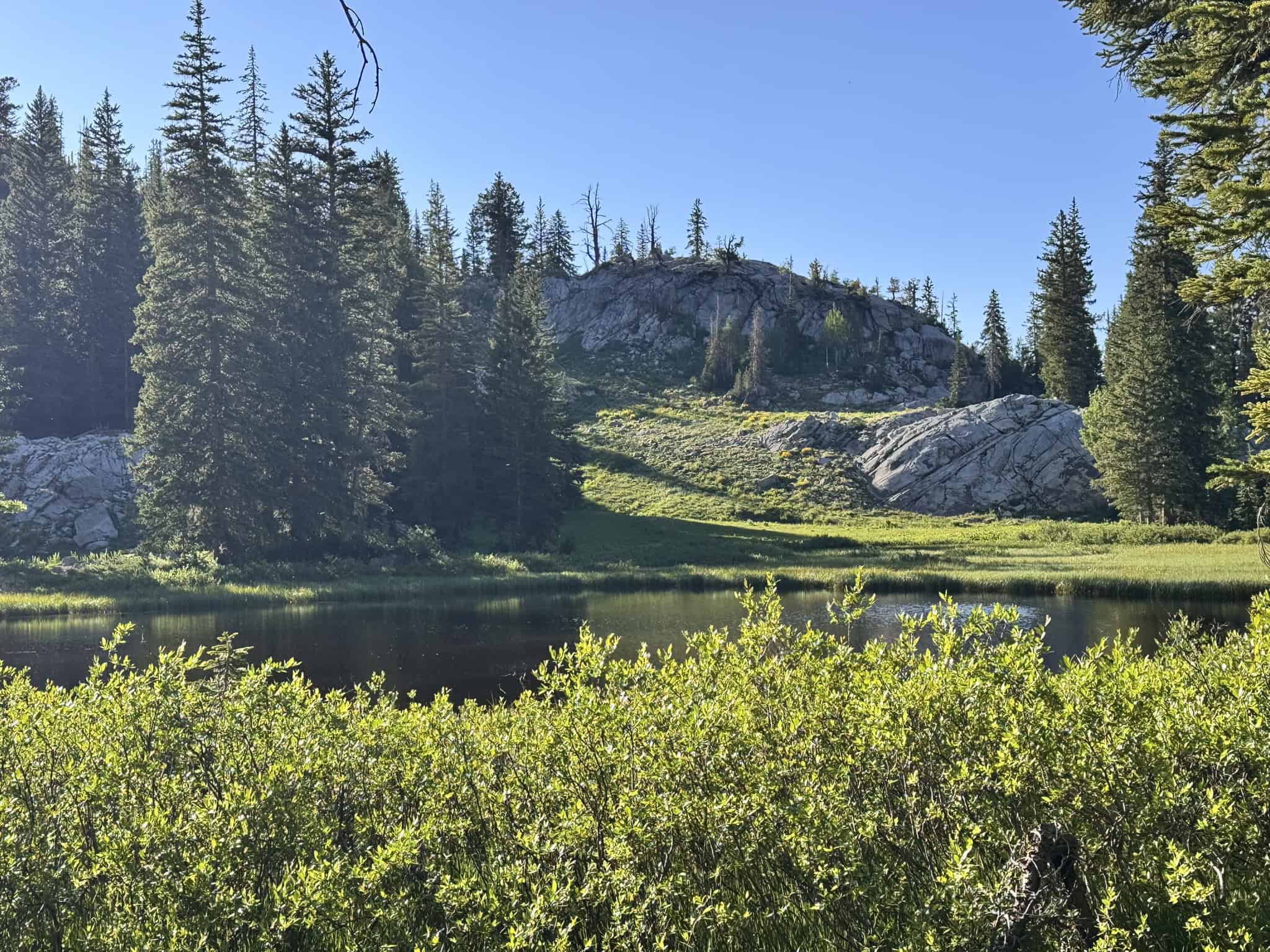 Grassy meadow and rocky hillside reflected in calm water at Dog Lake in Big Cottonwood Canyon