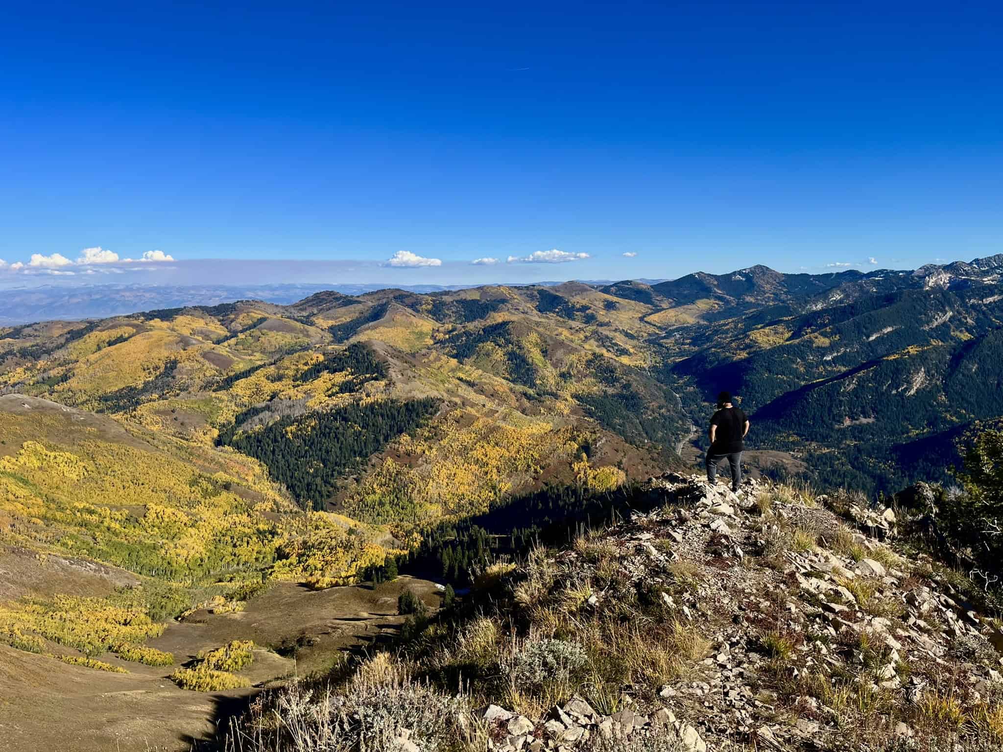 A hiker standing on Gobblers Knob Summit overlooking rolling mountain ridges and fall-colored forests on a hike near Salt Lake City.