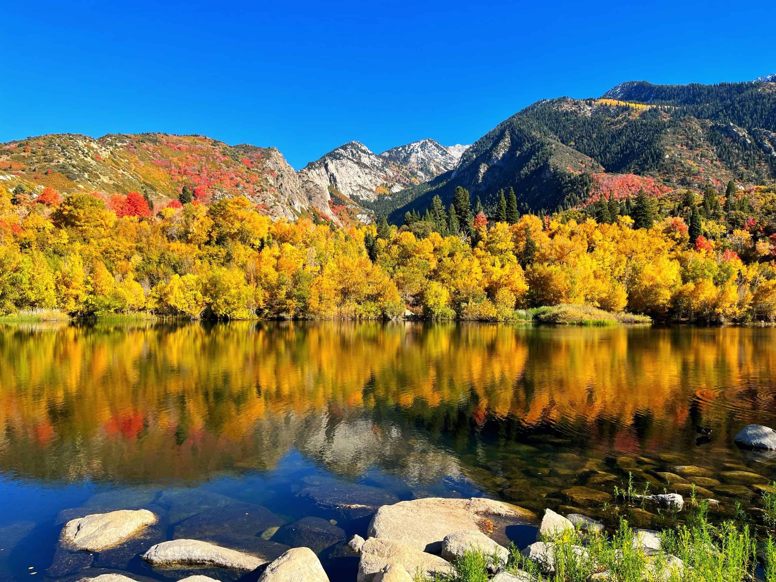 Autumn trees reflected in the calm water of Lower Bells Canyon Reservoir with mountain peaks in the background, a scenic hike near Salt Lake City, Utah