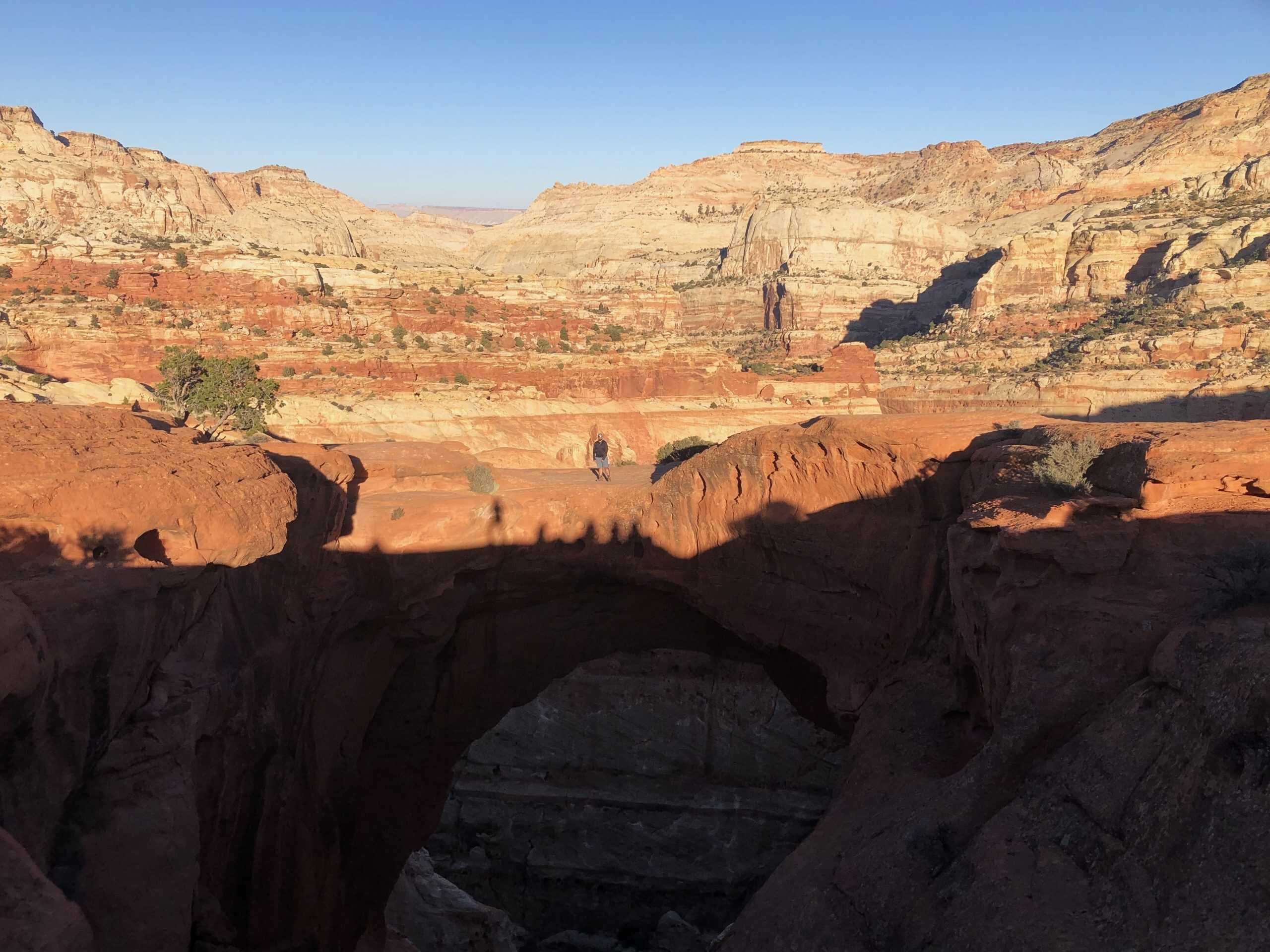 Cassidy Arch in Capitol Reef  National Park, Utah, viewed from above, framing canyon walls and the desert below.