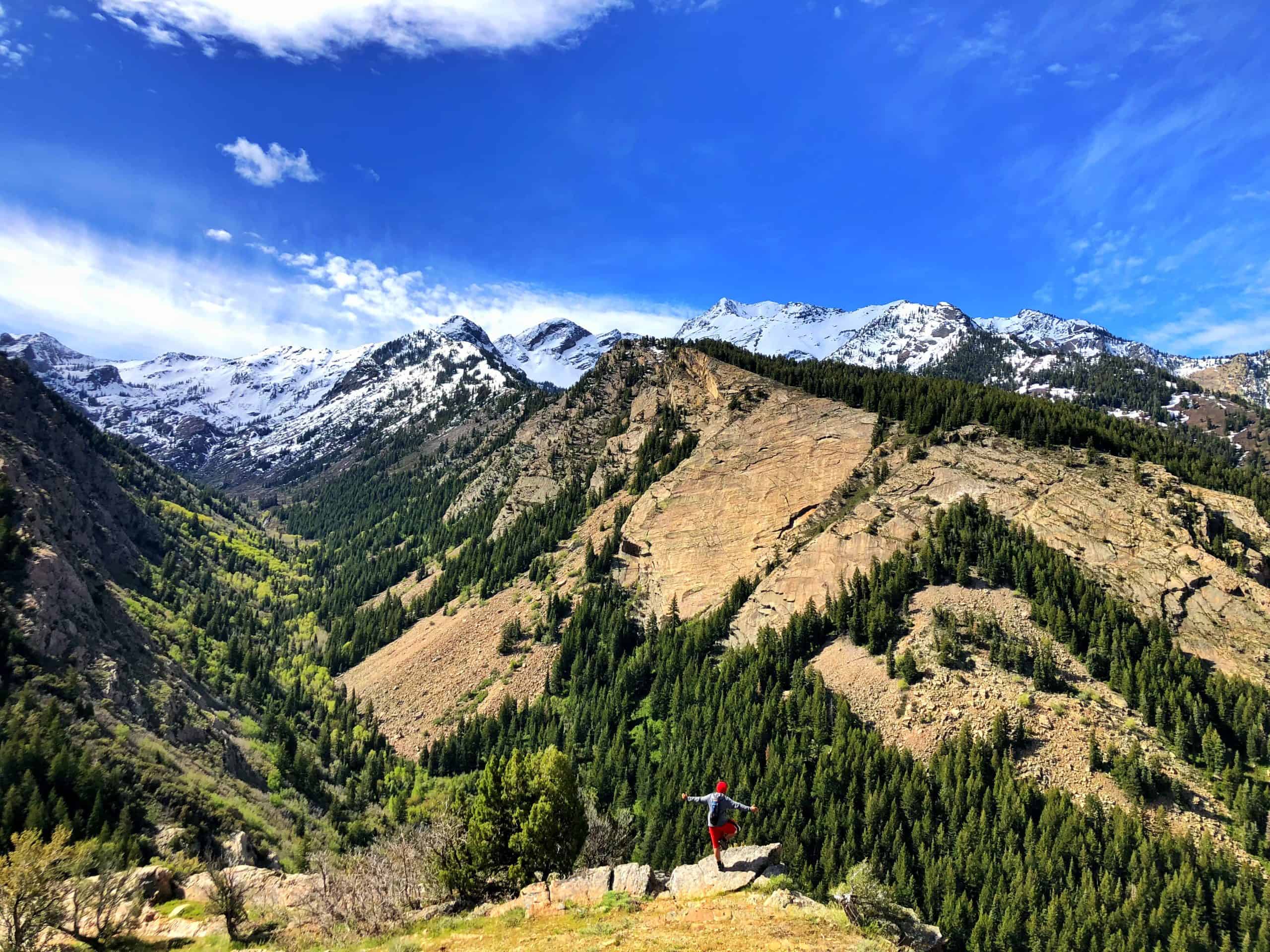 Hiker standing on a rocky overlook above Big Cottonwood Canyon with forested slopes and snow-capped peaks in the distance
