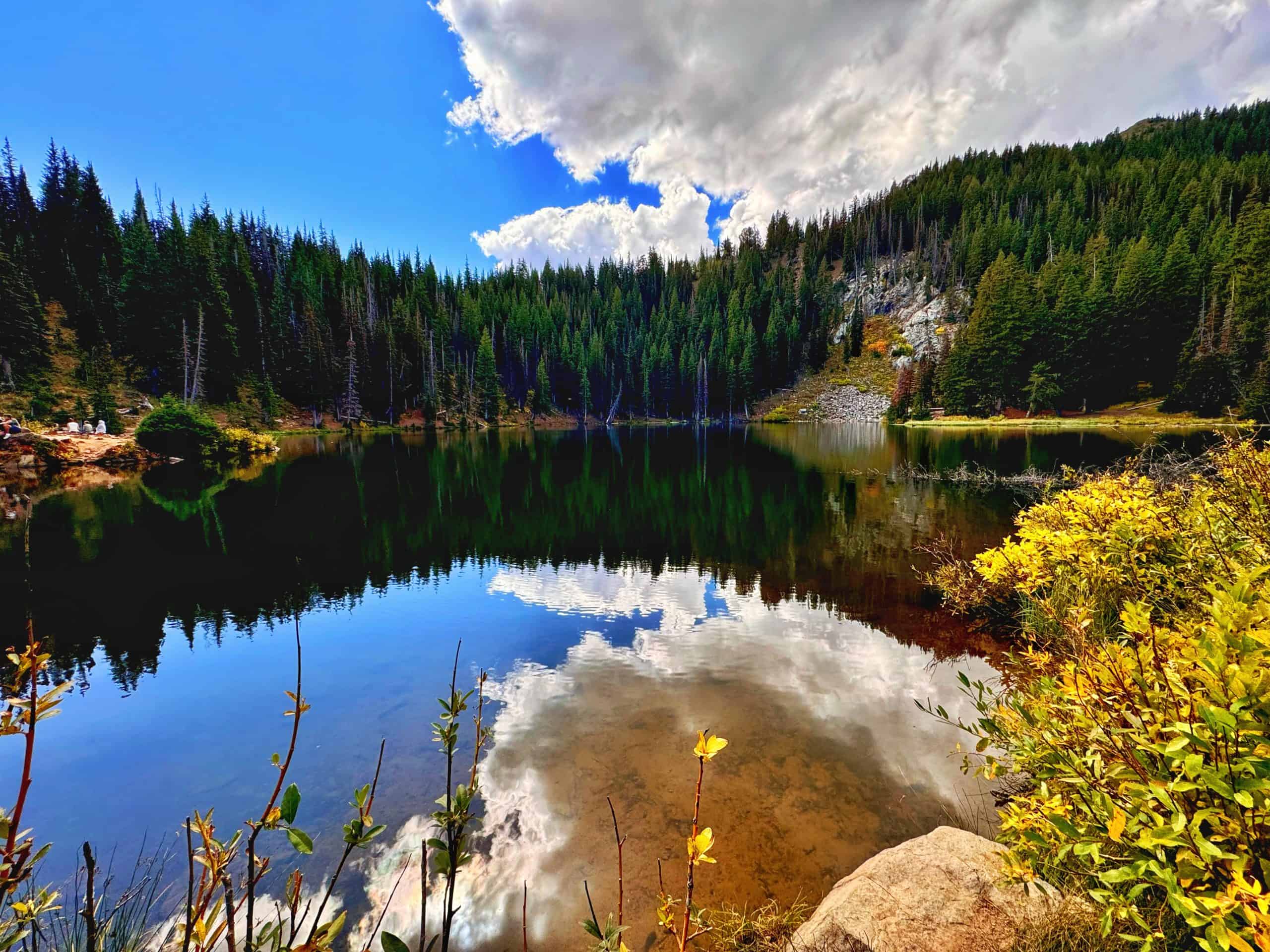 Calm water at Bloods Lake reflecting pine trees and clouds, a popular hike near Salt Lake City.