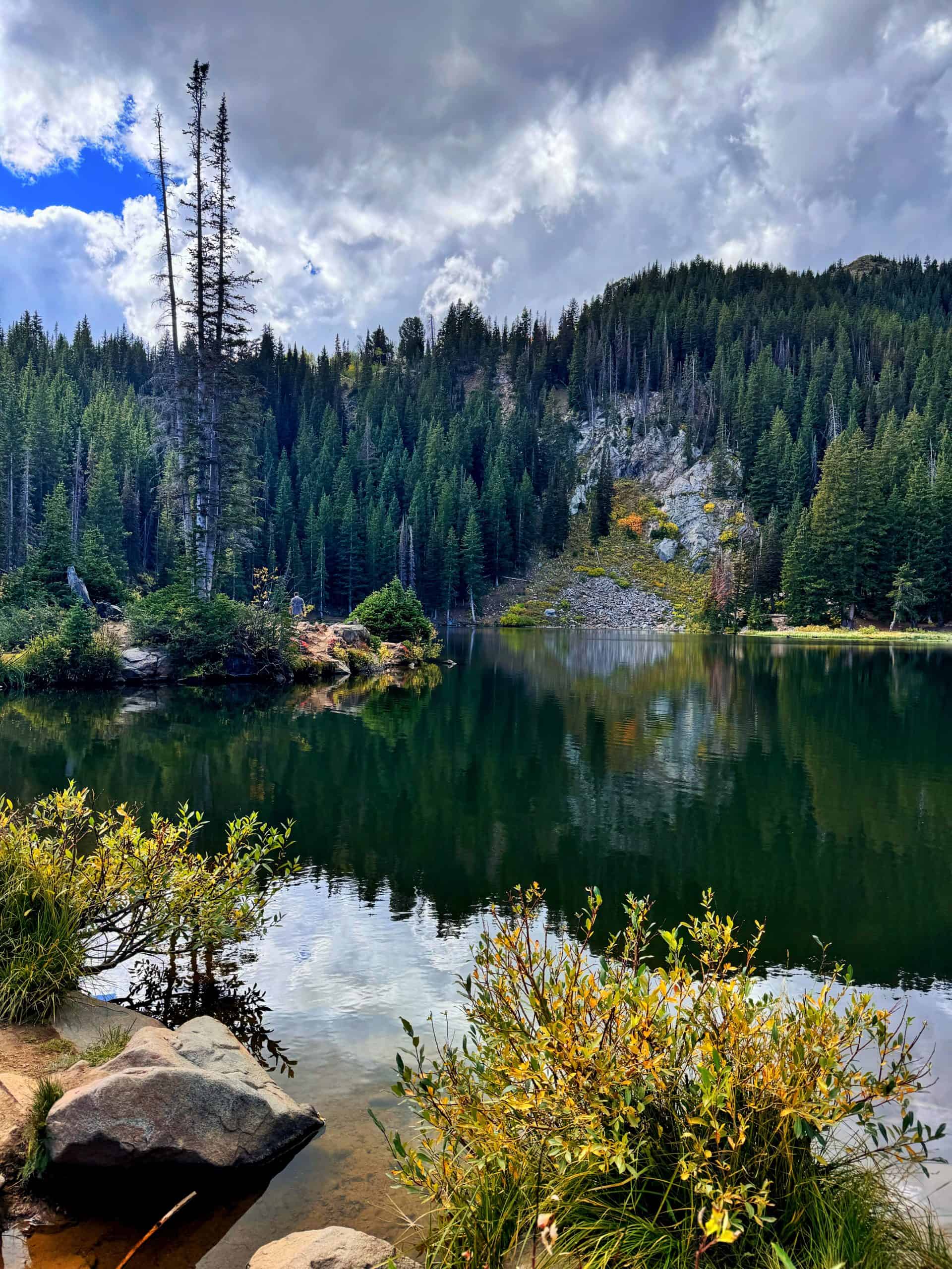 Calm water at Bloods Lake reflecting pine trees and clouds, a popular hike in Bonanza Flats, Big Cottonwood Canyon