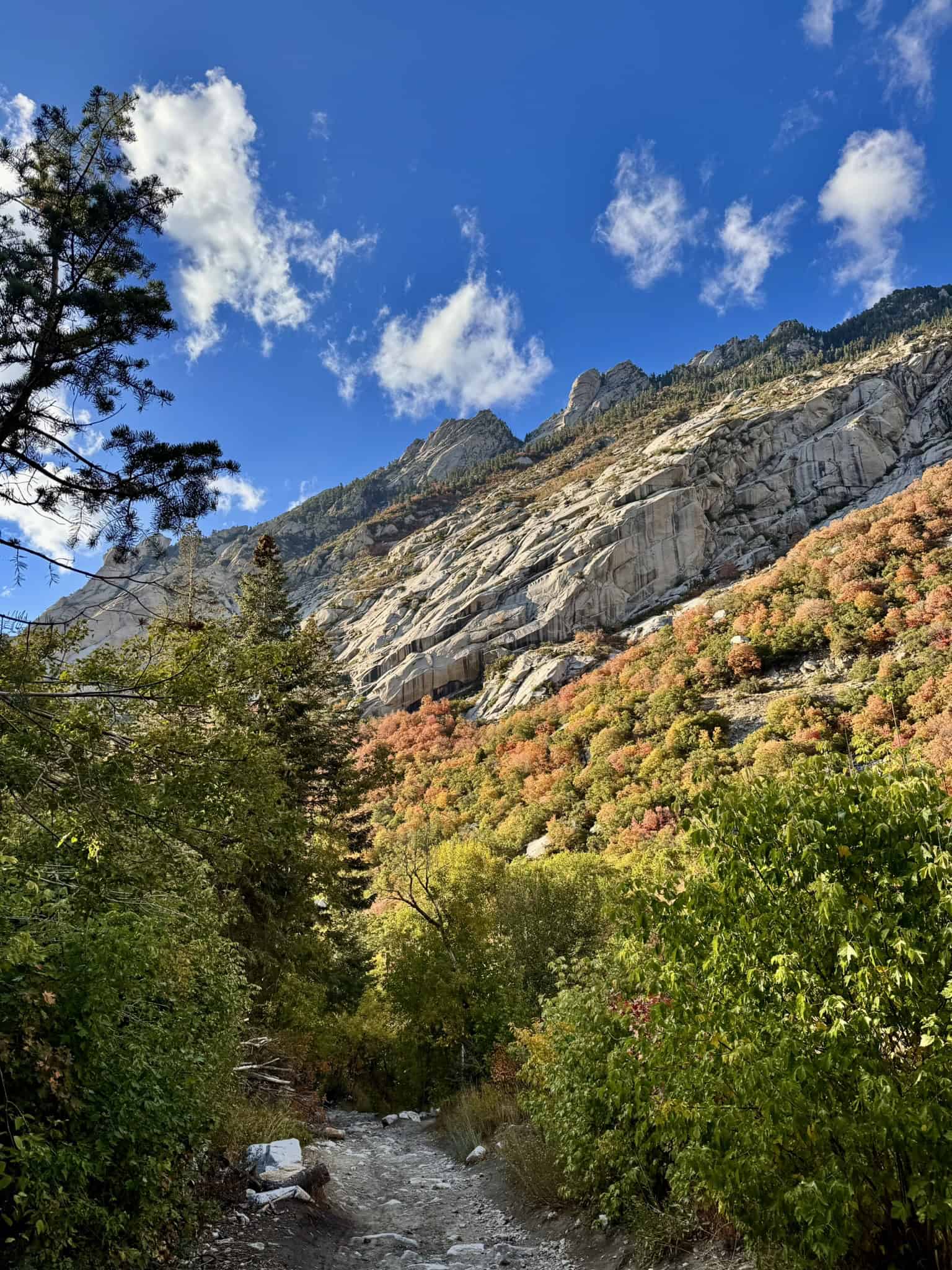 Steep granite canyon walls rising above colorful fall foliage under a blue sky in Little Cottonwood Canyon near Salt Lake City.