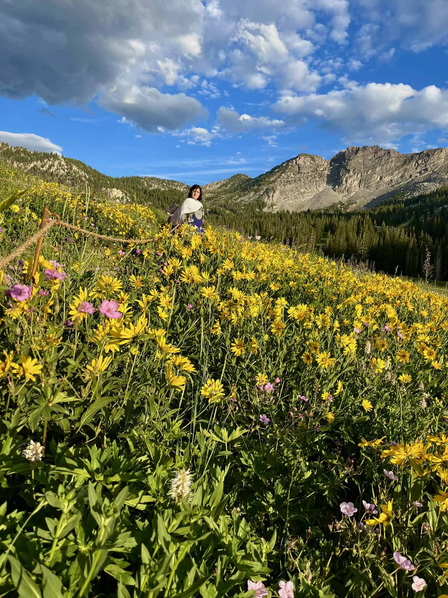 A woman standing on a trail surrounded by a sunny meadow of yellow wildflowers with rugged mountains in the background under a partially blue sky in Little Cottonwood Canyon