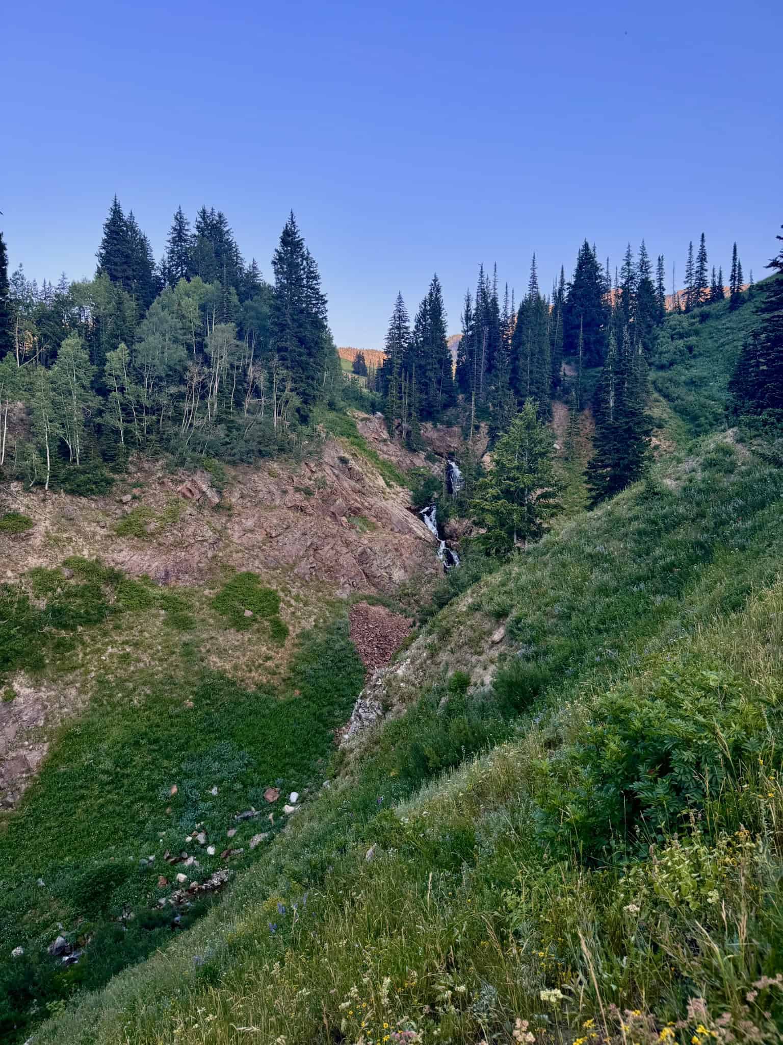 A scenic view of a hidden waterfall cascading through a lush, forested gorge, one of the hidden gem hikes in Little Cottonwood Canyon