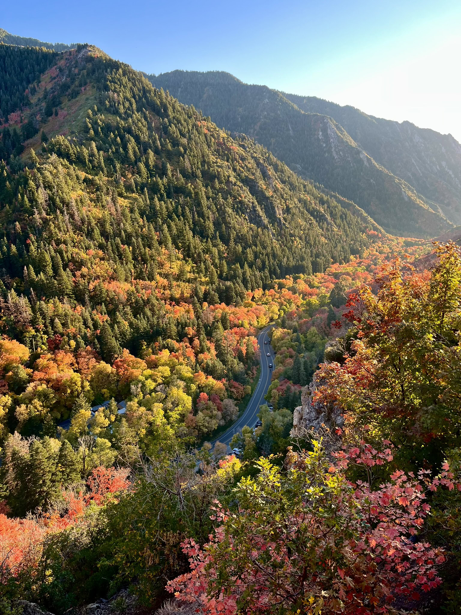 Colorful fall foliage covering steep canyon slopes with a winding road below, seen from a scenic overlook along a hiking trail in Millcreek Canyon.