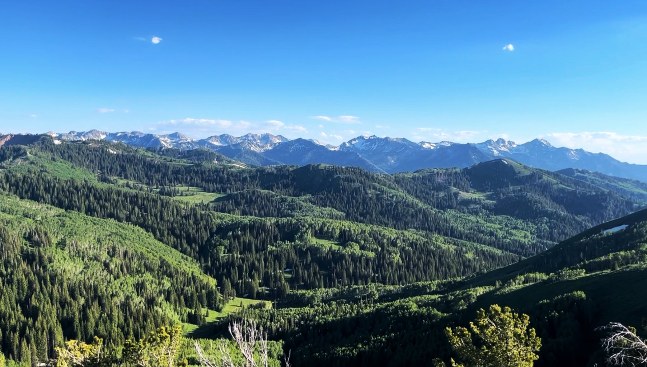 Wide mountain panorama from Murdock Peak overlooking forested ridges and distant peaks in Millcreek Canyon