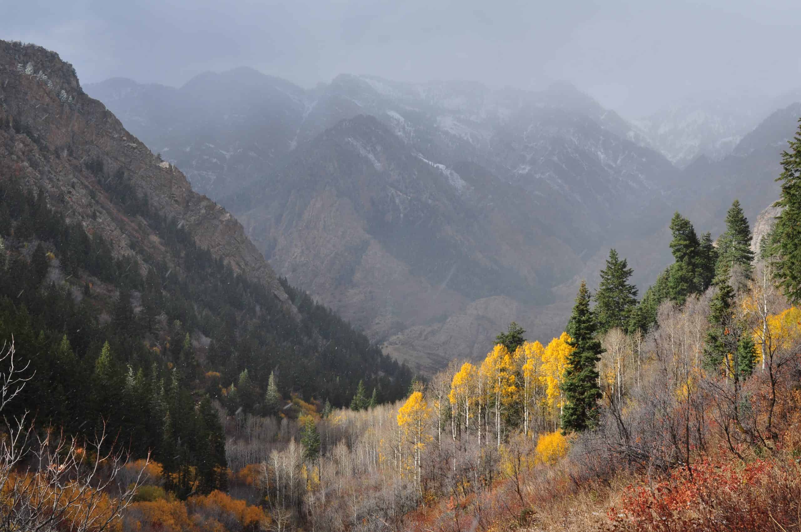 A misty autumn view along the Lake Blanche Trail, with golden aspen trees in the foreground and snow-dusted mountains rising in the distance.