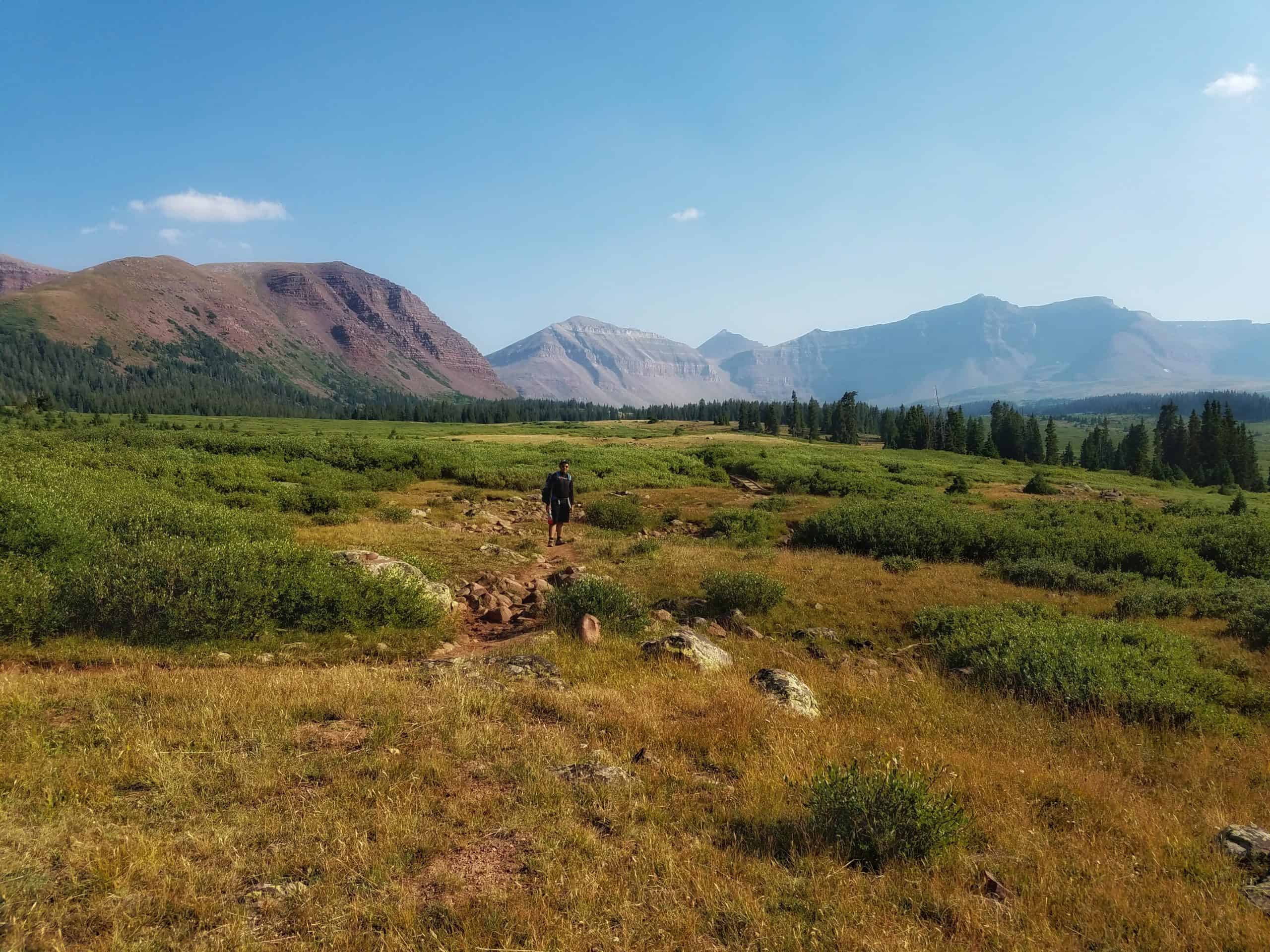 A hiker walks through a Henry's Fork Basin in Utah, towards the distant King's Peak under a clear blue sky, 