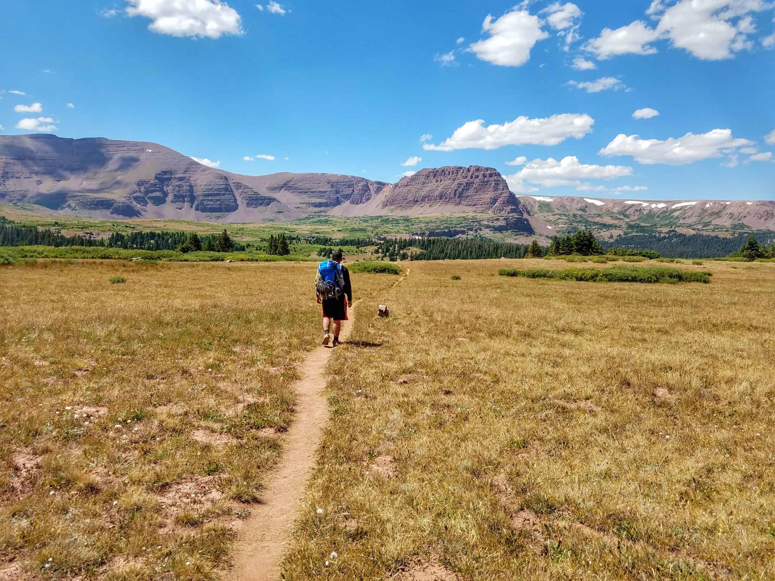  A person wearing a backpack walks along the Henry's Fork trail  in Utah, with layered red rock cliffs rising in the background under a bright blue sky.


