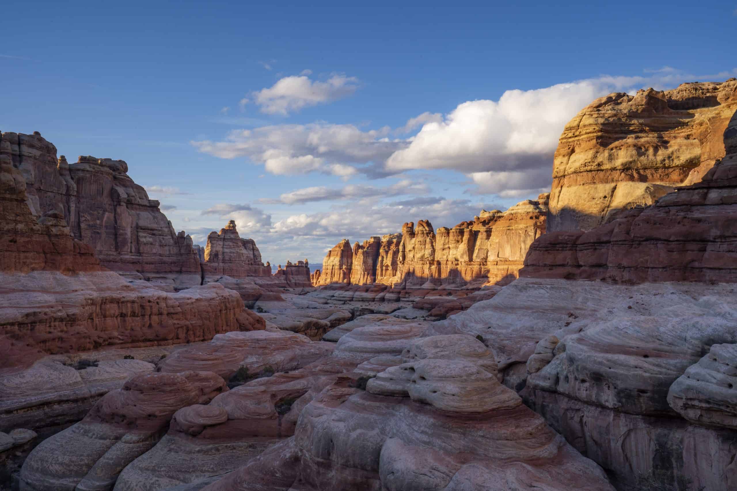 colorful striated rock fins found on the Druid Arch hike in Utah,  illuminated by golden sunlight during sunset. 