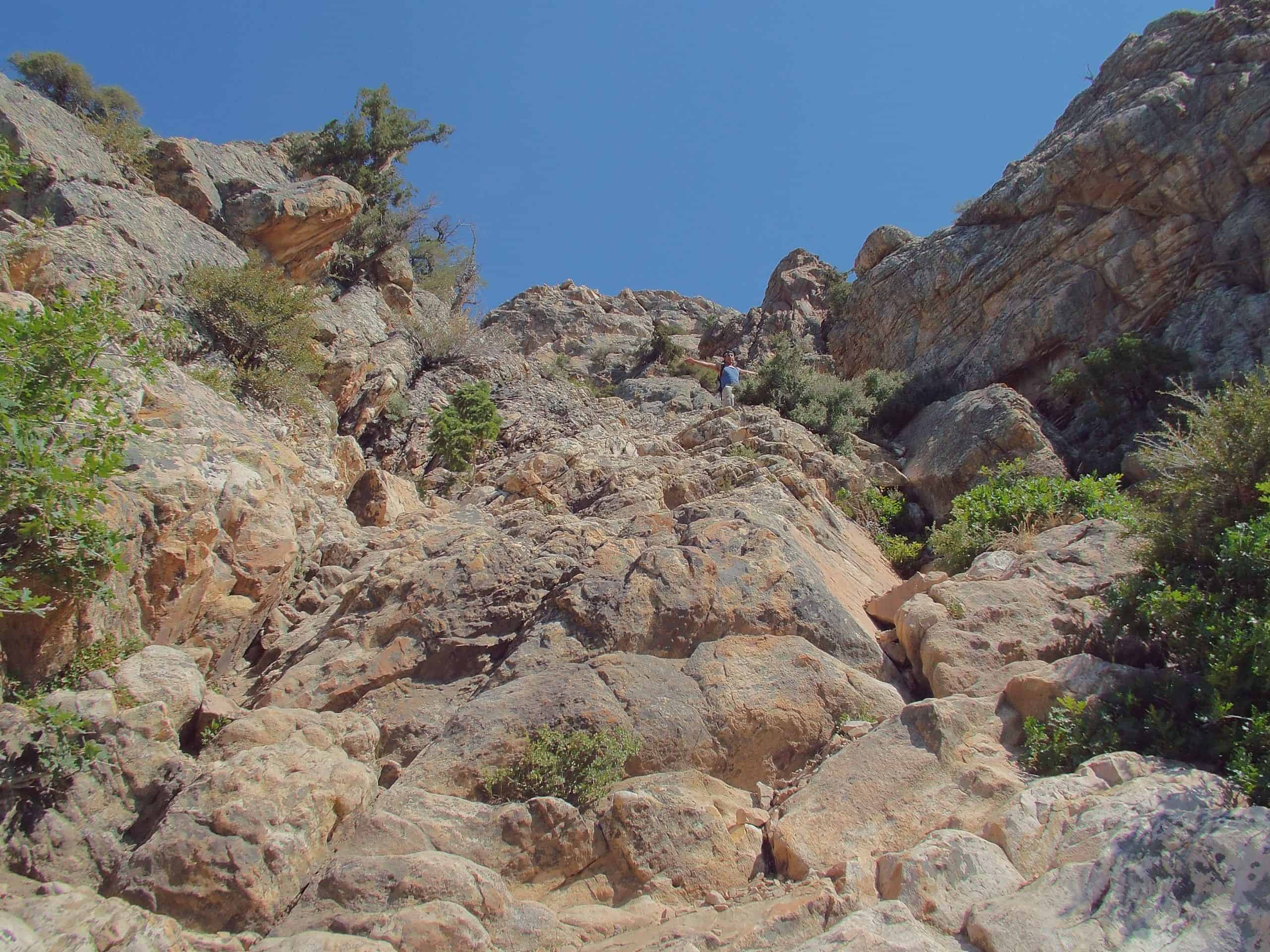 A sunlit rock gulley dotted with desert shrubs and a climber higher up on the scramble section of Mount Olympus, Utah. 