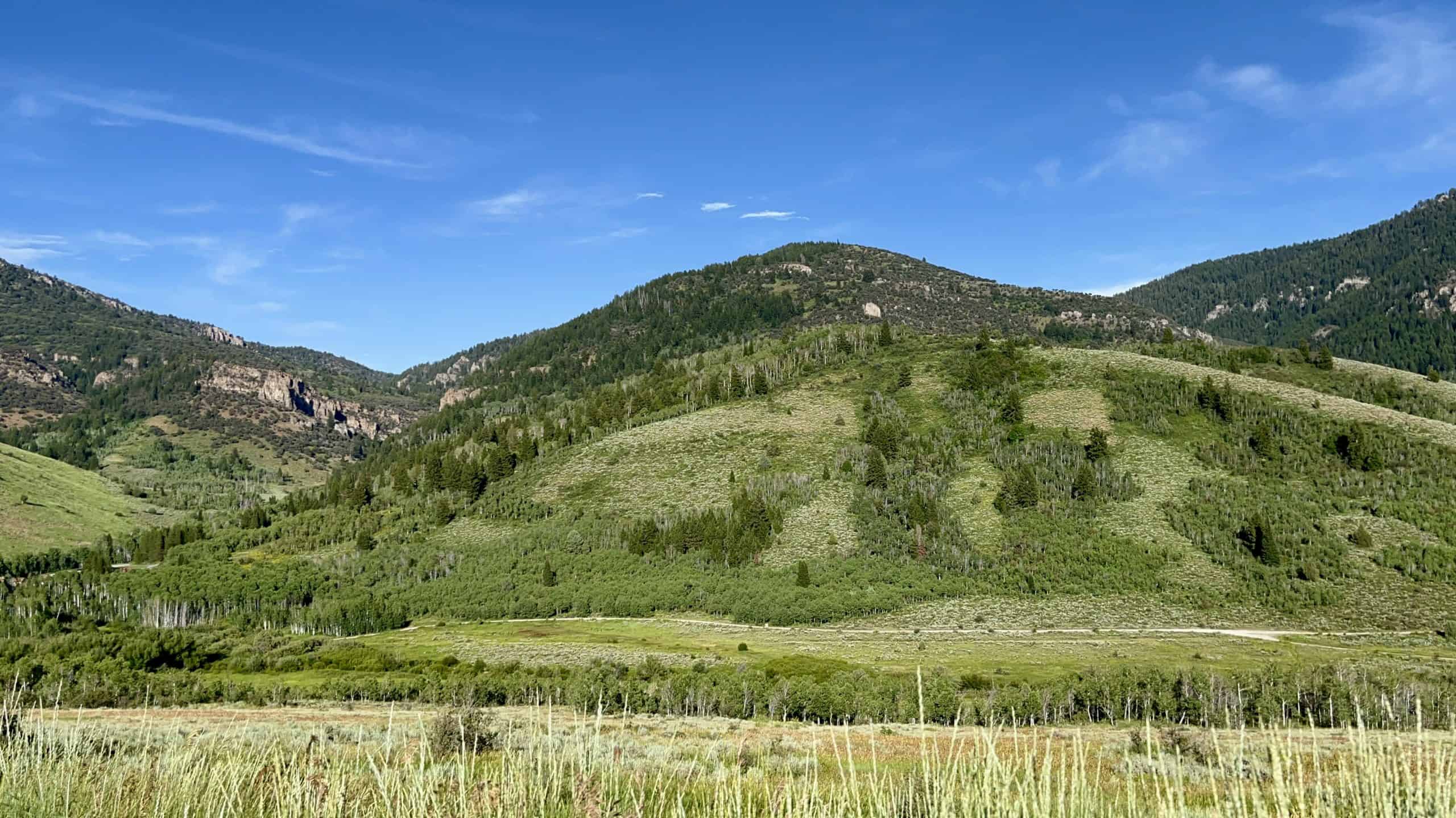 Rolling green hills and forested slopes of the Bear River Mountains under a clear blue sky