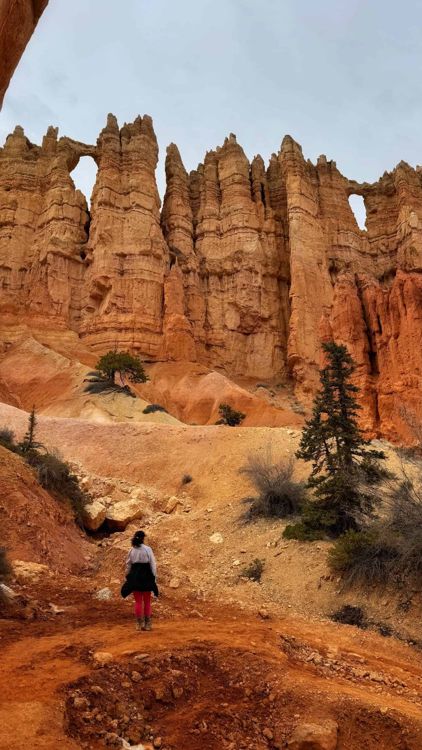 A person hiking down the Peekaboo Loop hike in Utah, past orange rock spires with small arches and green trees on the sandy ground.

