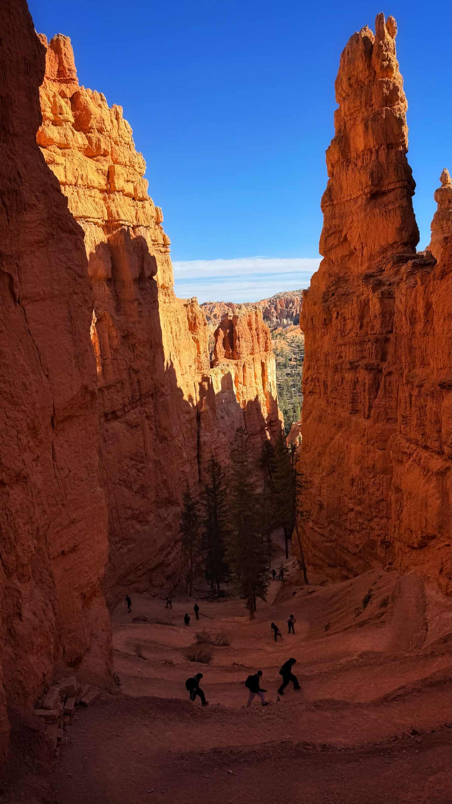 Hikers walking up the steep switchbacks of the beautiful Navajo Loop hike in Utah, surrounded by tall sandstone cliffs, distant trees and blue skies