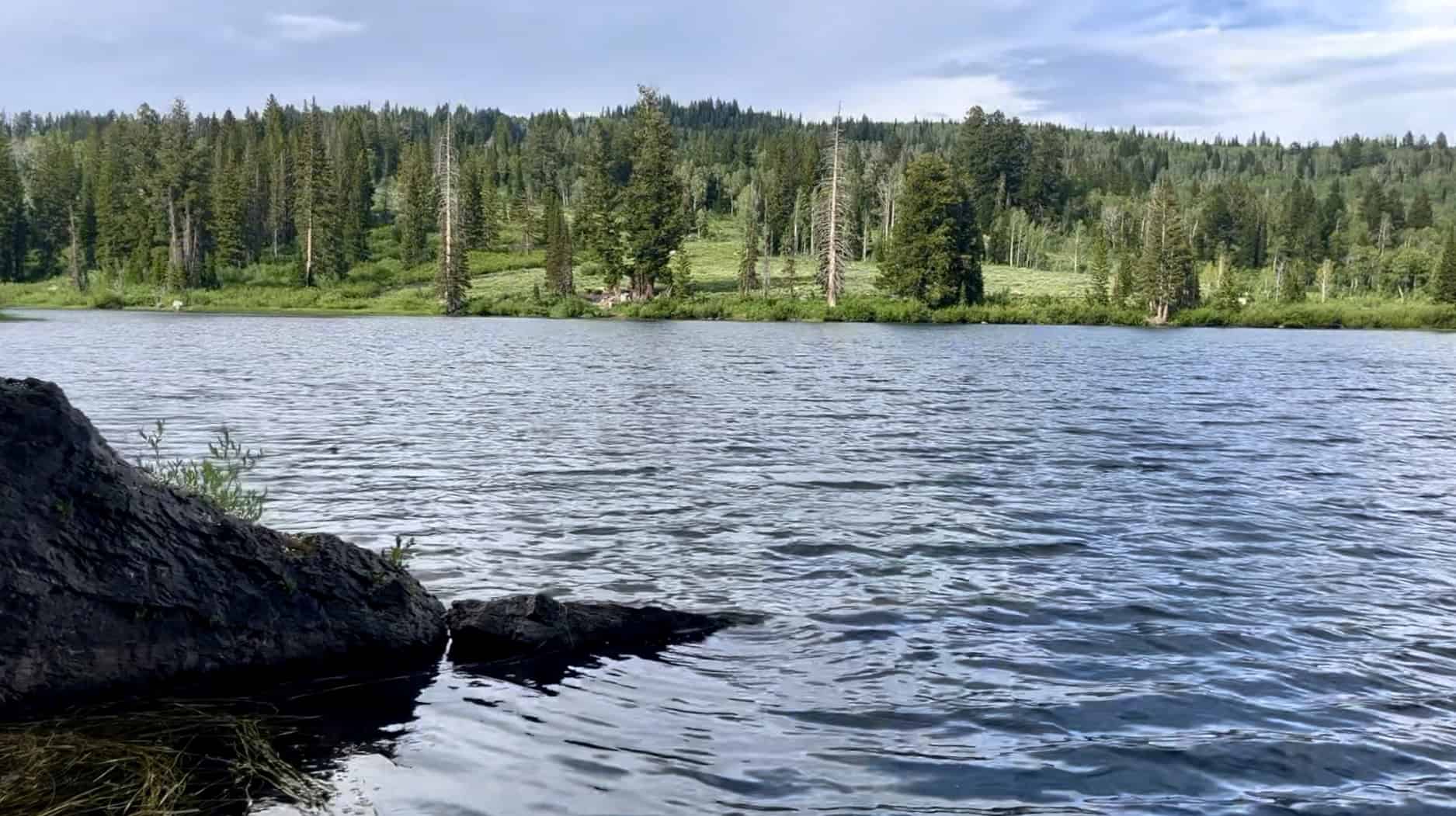A rock perched on the edge of Tony Grove Lake, with the lakes calm waters surrounded by lush green trees