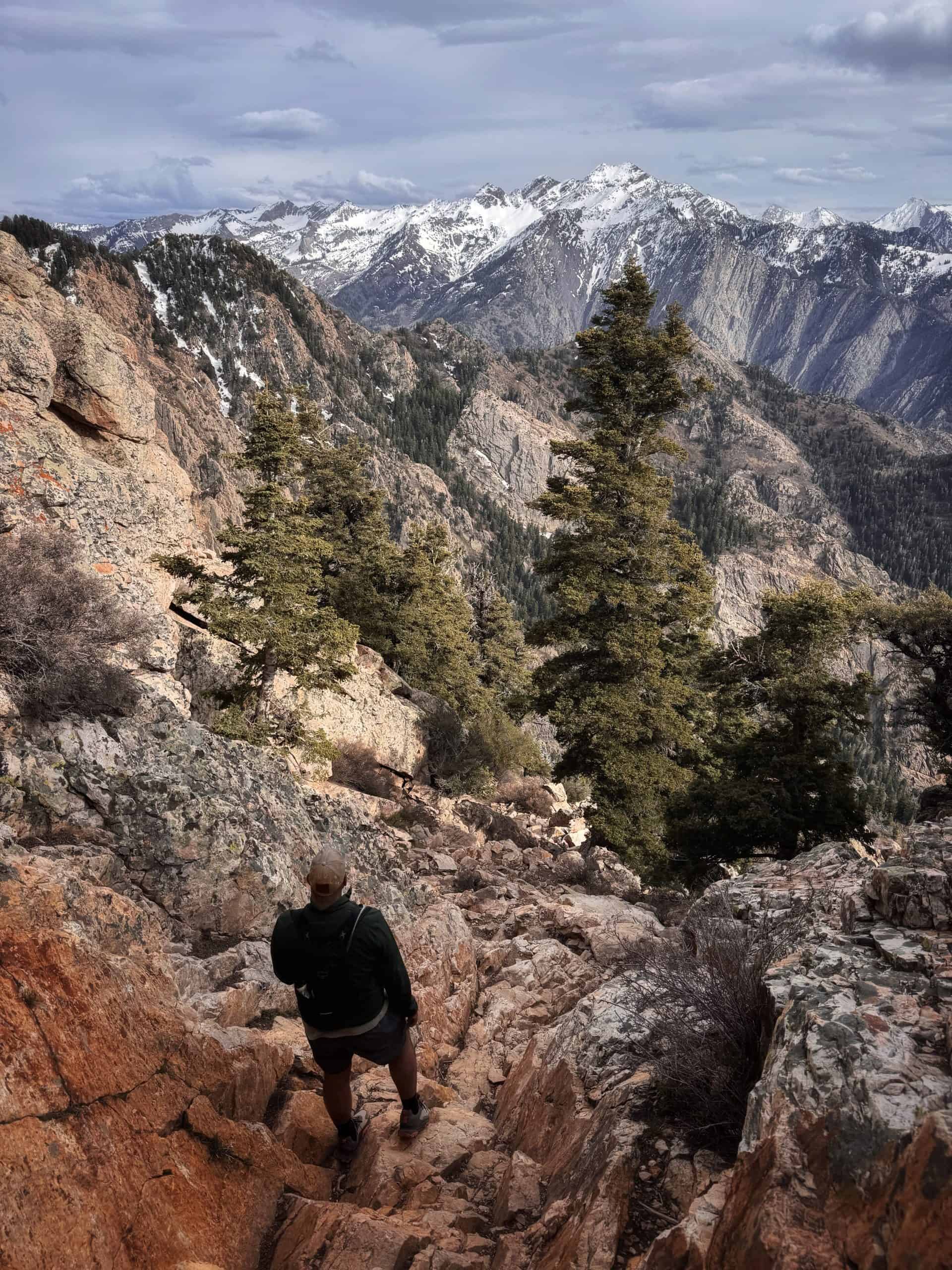 A hiker gazing down a narrow mountain path with snow-capped peaks visible through evergreen trees, on the final scramble to summit of Mount Olympus.