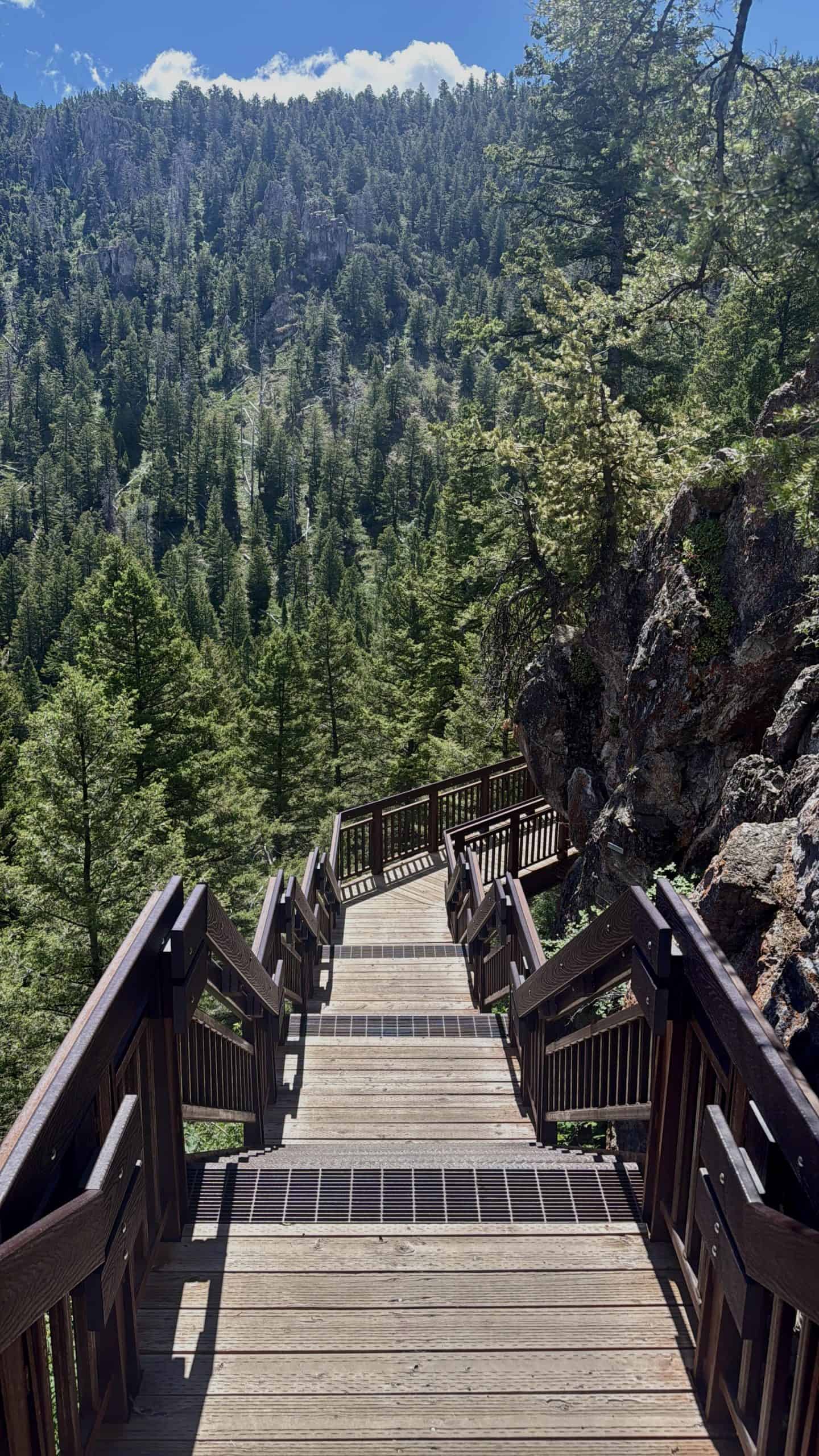 A sturdy wooden staircase with railings winds up a steep forested hillside