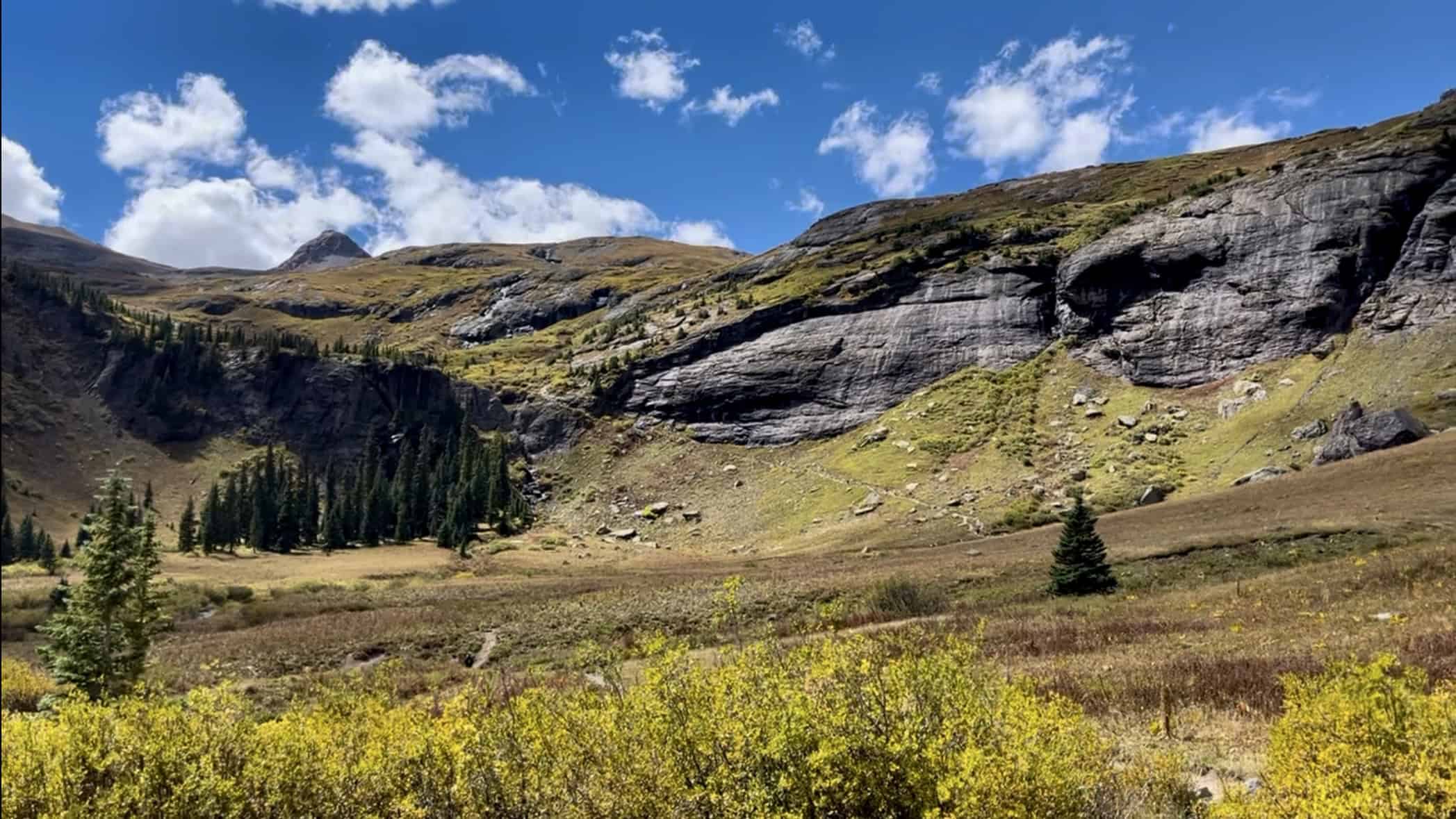 A vibrant alpine meadow filled with yellow grasses and scattered pine trees stretching toward rugged, cliffs, under a blue sky along the Ice Lake trail in Colorado. 