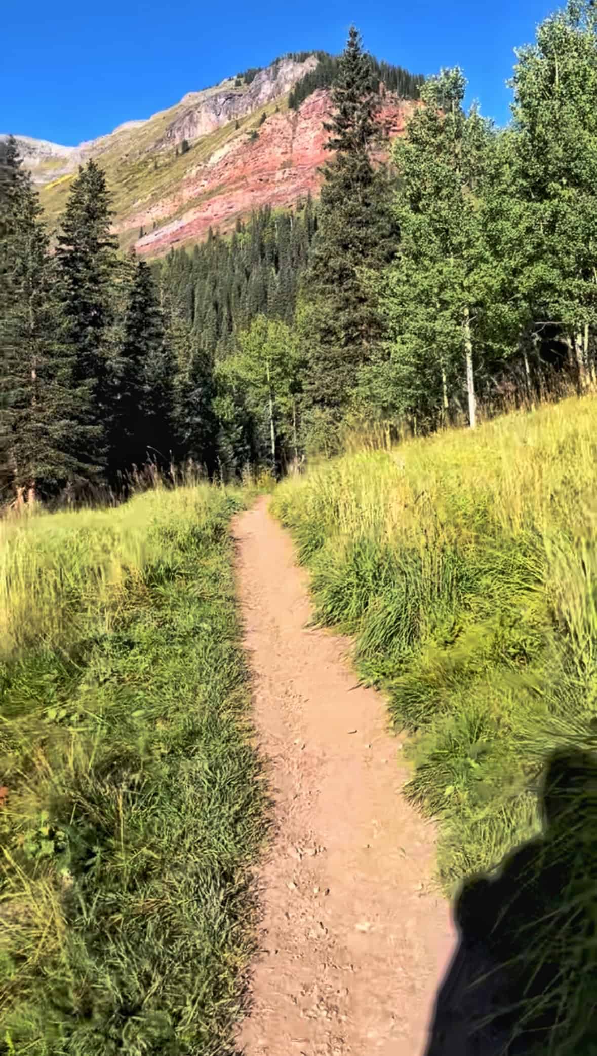 A dirt hiking path winds through lush green foliage and tall evergreen trees, leading toward prominent red rock cliffs on the hike up to Ice Lake, Colorado.

