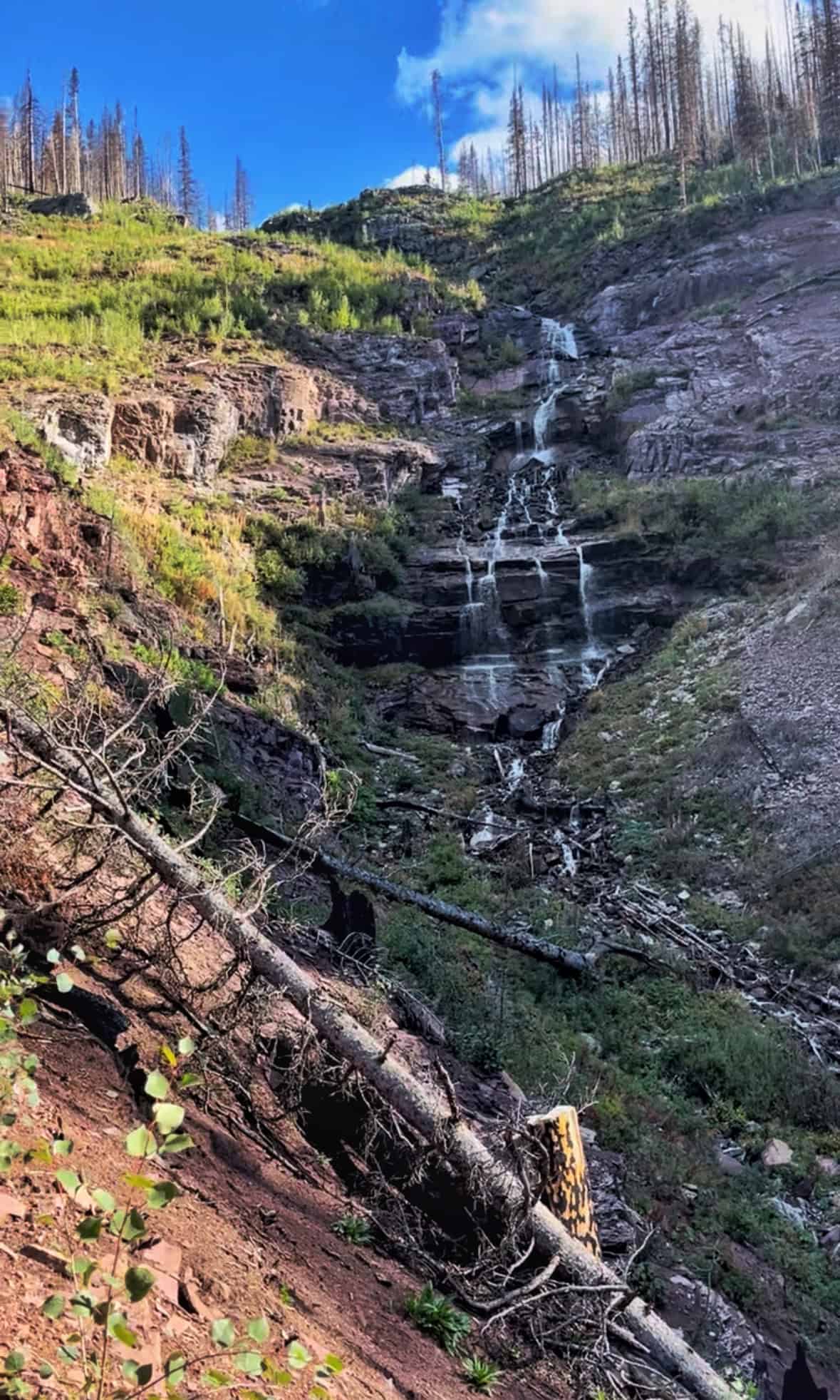 Clear Creek Falls cascades down a  rock face surrounded by green vegetation. charred trees, and a large fallen log in the foreground on the trail to Ice Lake, Colorado.