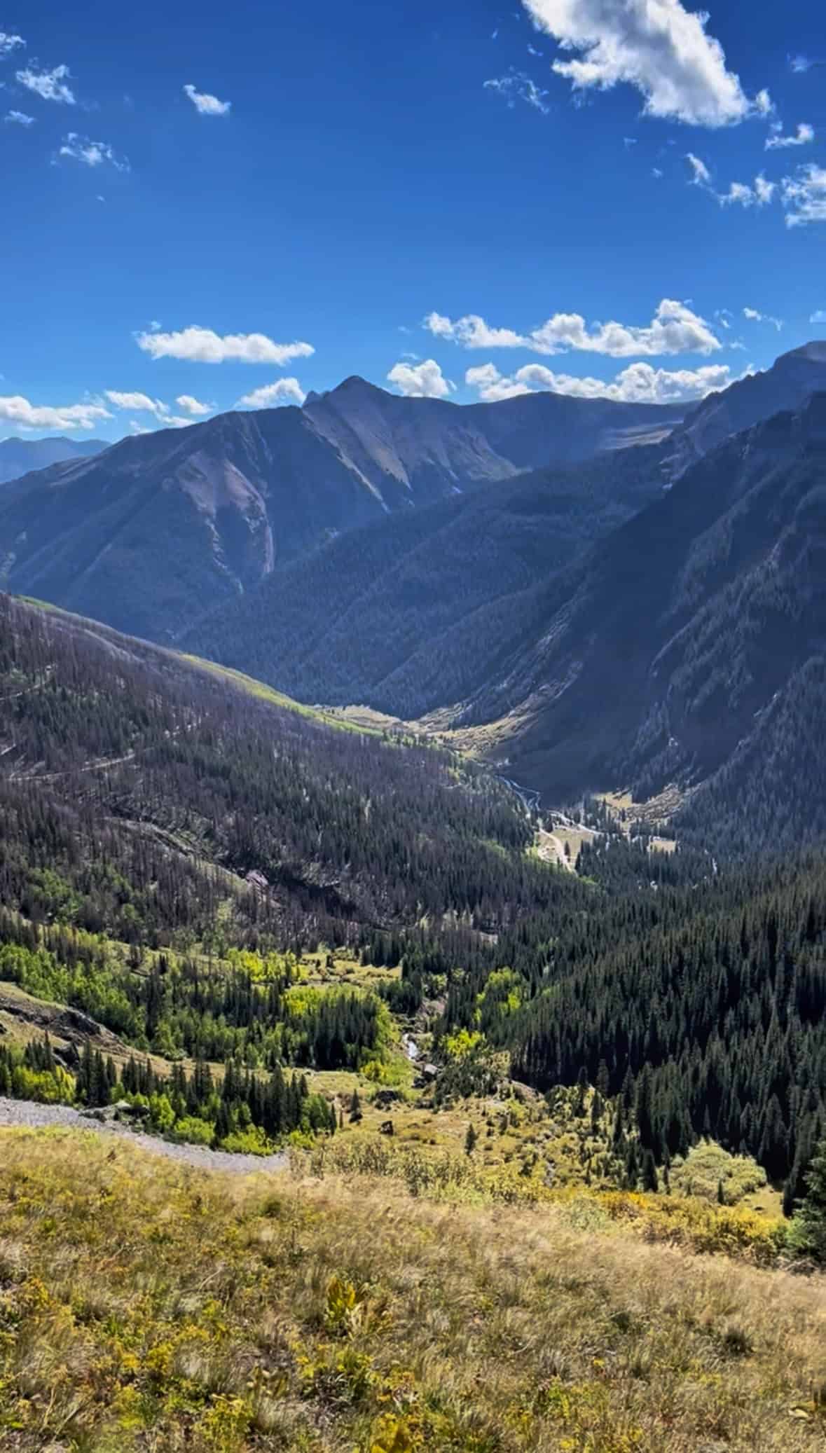 A scenic canyon filled with trees seen along the Ice Lake Colorado Trail, with distant mountain peaks under a bright blue sky. 