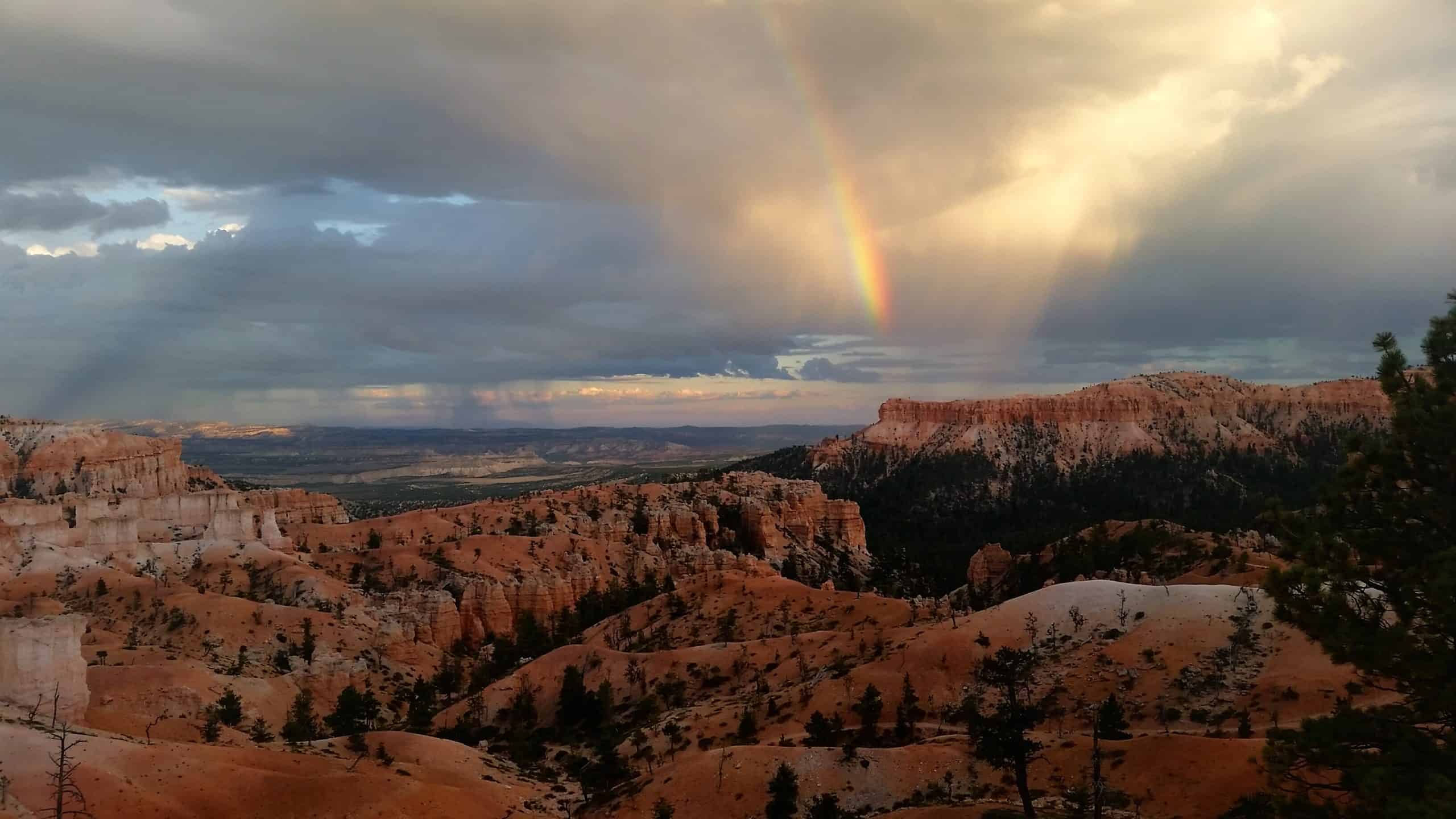 A striking panorama of the orange hoodoos of Bryce Canyon under a stormy sky alongside a bright rainbow and rain curtains