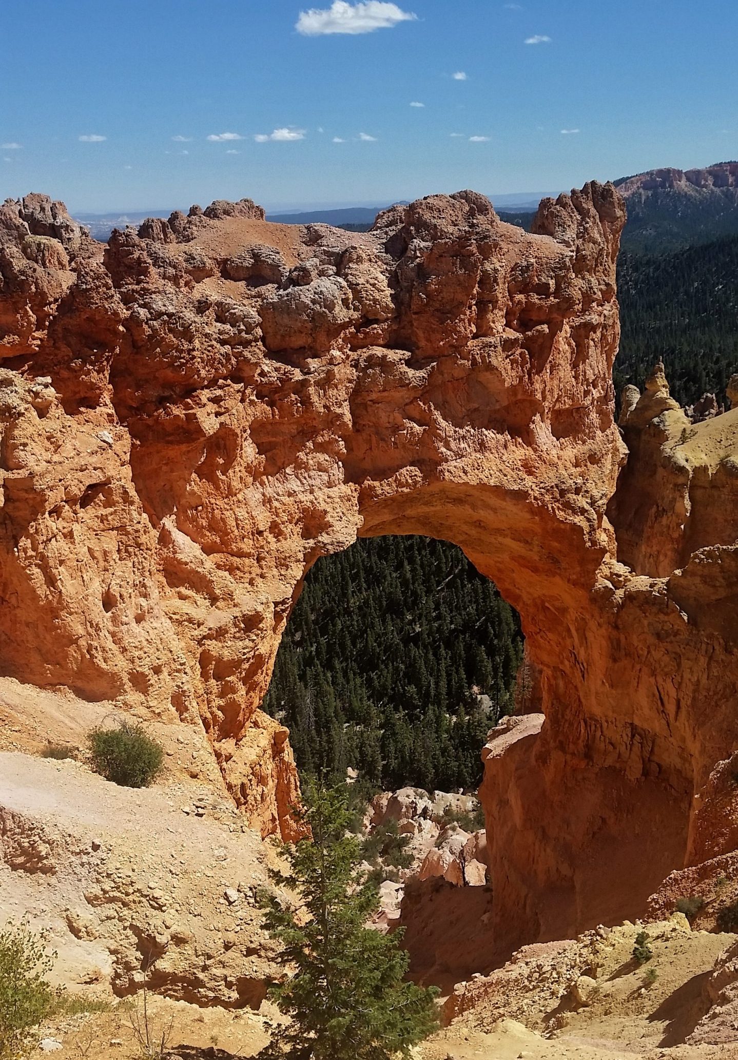 A sandstone arch stands tall under a bright blue sky with trees and rocks scattered in the foreground, a must-see stop on a Bryce Canyon Itinerary 