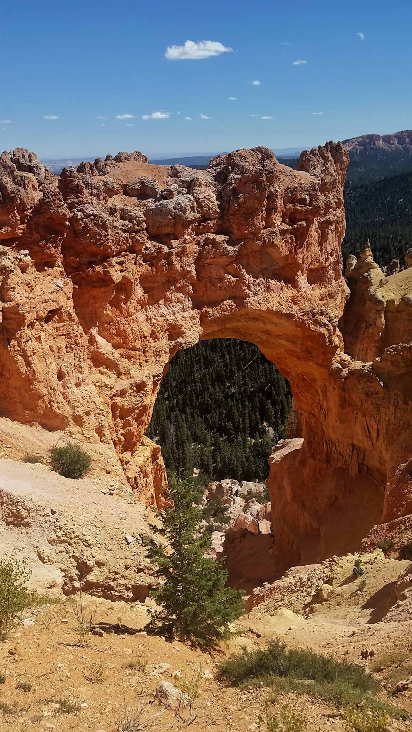 A tall sandstone arch under a bright blue sky with trees and rocks scattered in the foreground, a must-see stop on a Bryce Canyon Itinerary 