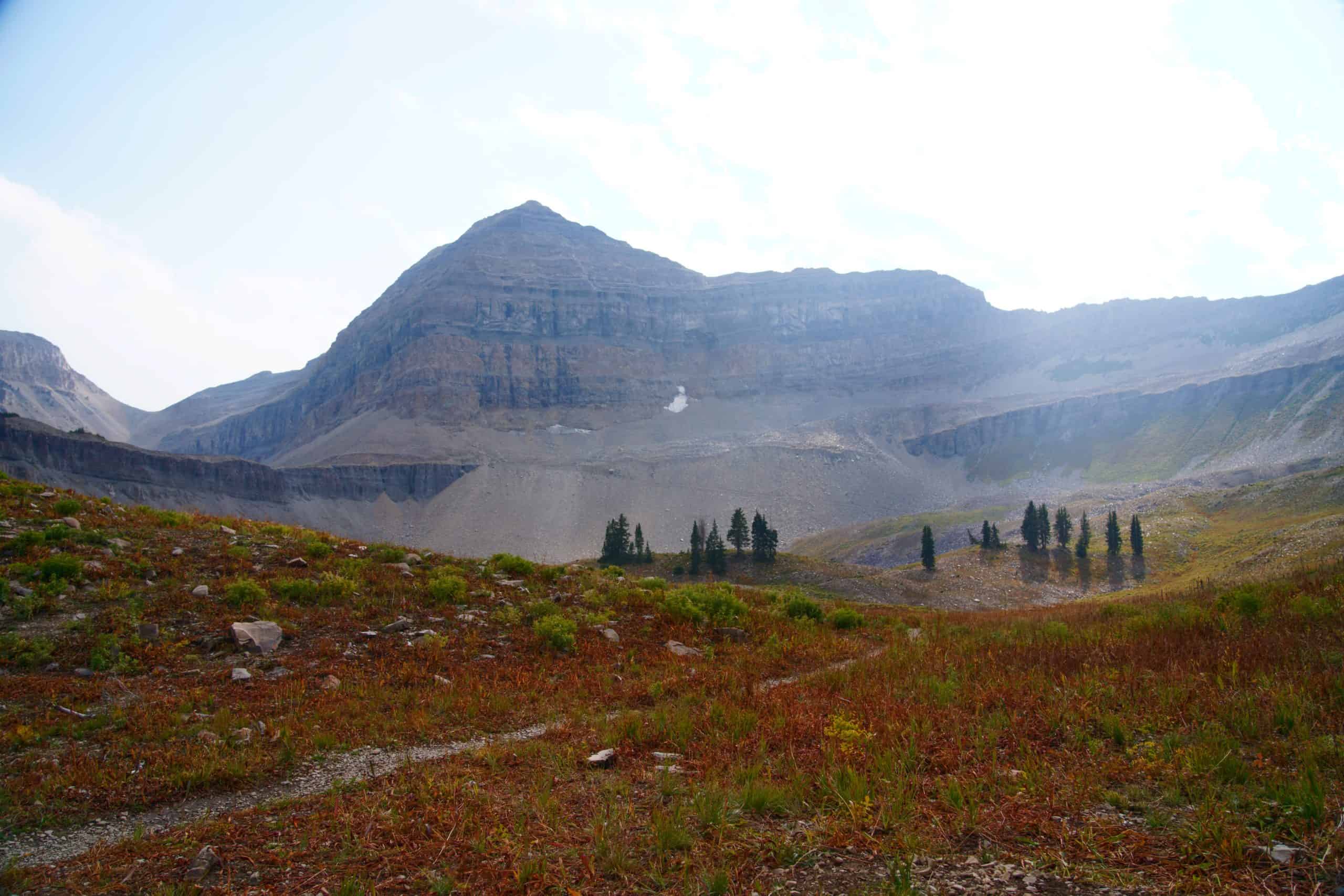 A narrow trail winds through reddish-brown alpine meadows toward a small cluster of evergreens beneath a towering layered mountain, along the Mount Timpanogos Hike.