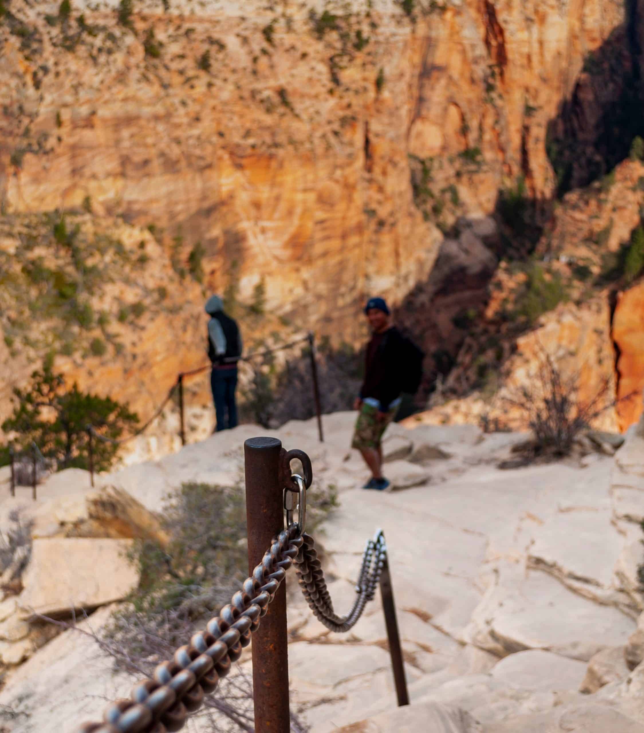 Hikers using safety chains to navigate the final ascent of Angel's Landing, a thrilling highlight of any trip to Zion National Park.

