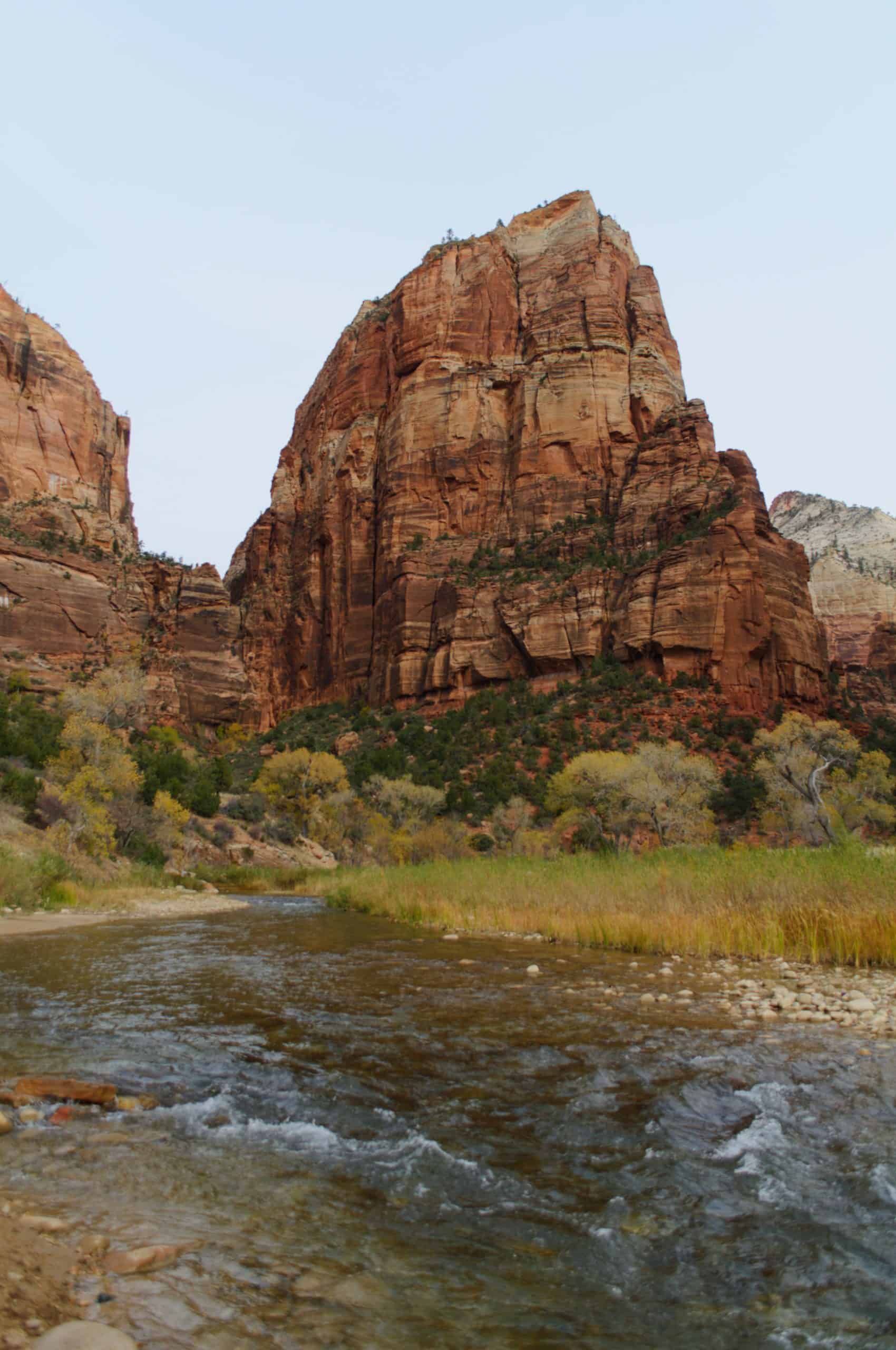 A scenic view of the Virgin River with Angel's Landing standing tall in the background in Zion national park.

