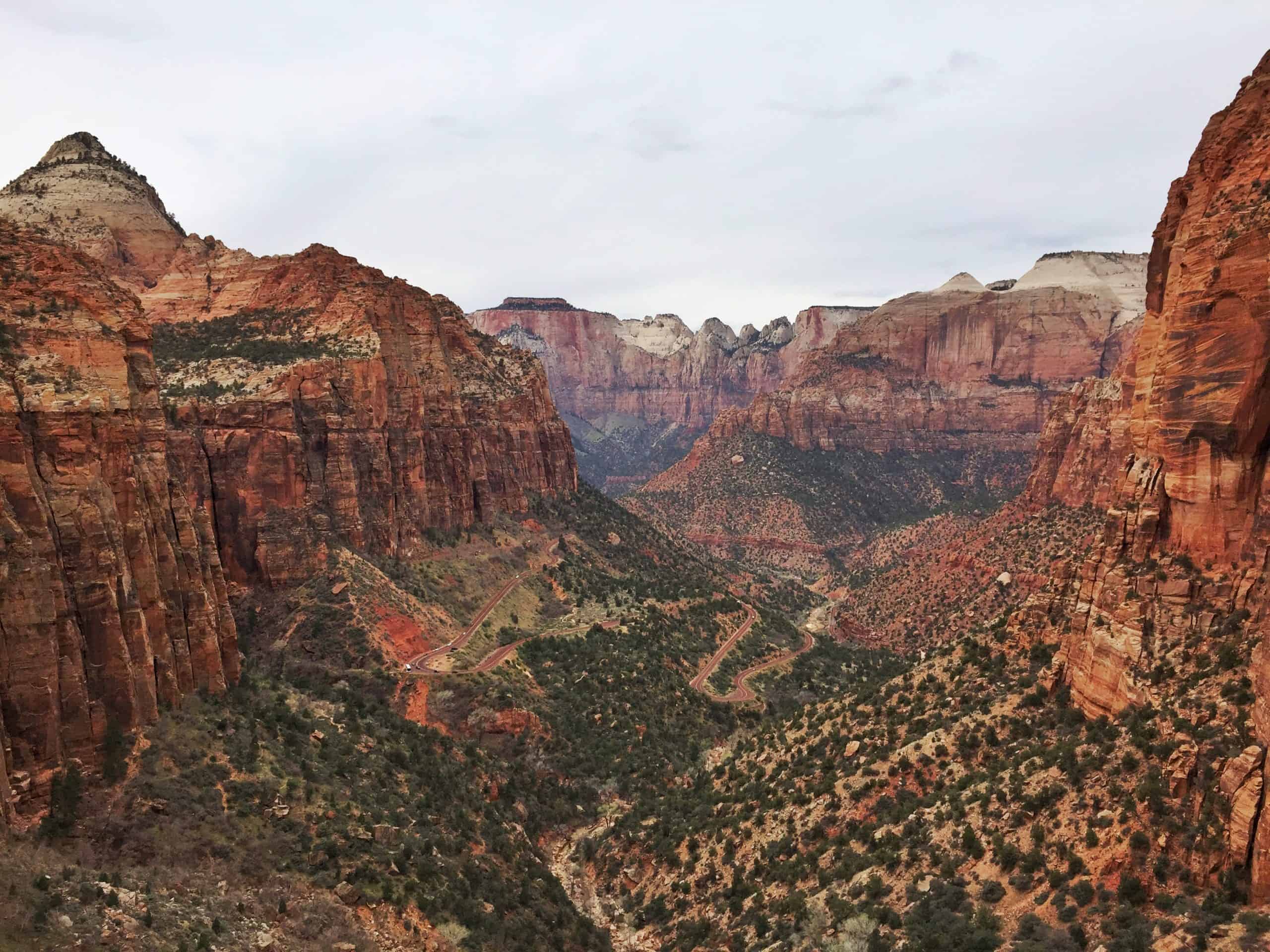 A winding road snakes through a lush canyon floor surrounded by towering red cliffs, a classic view of Zion National Park