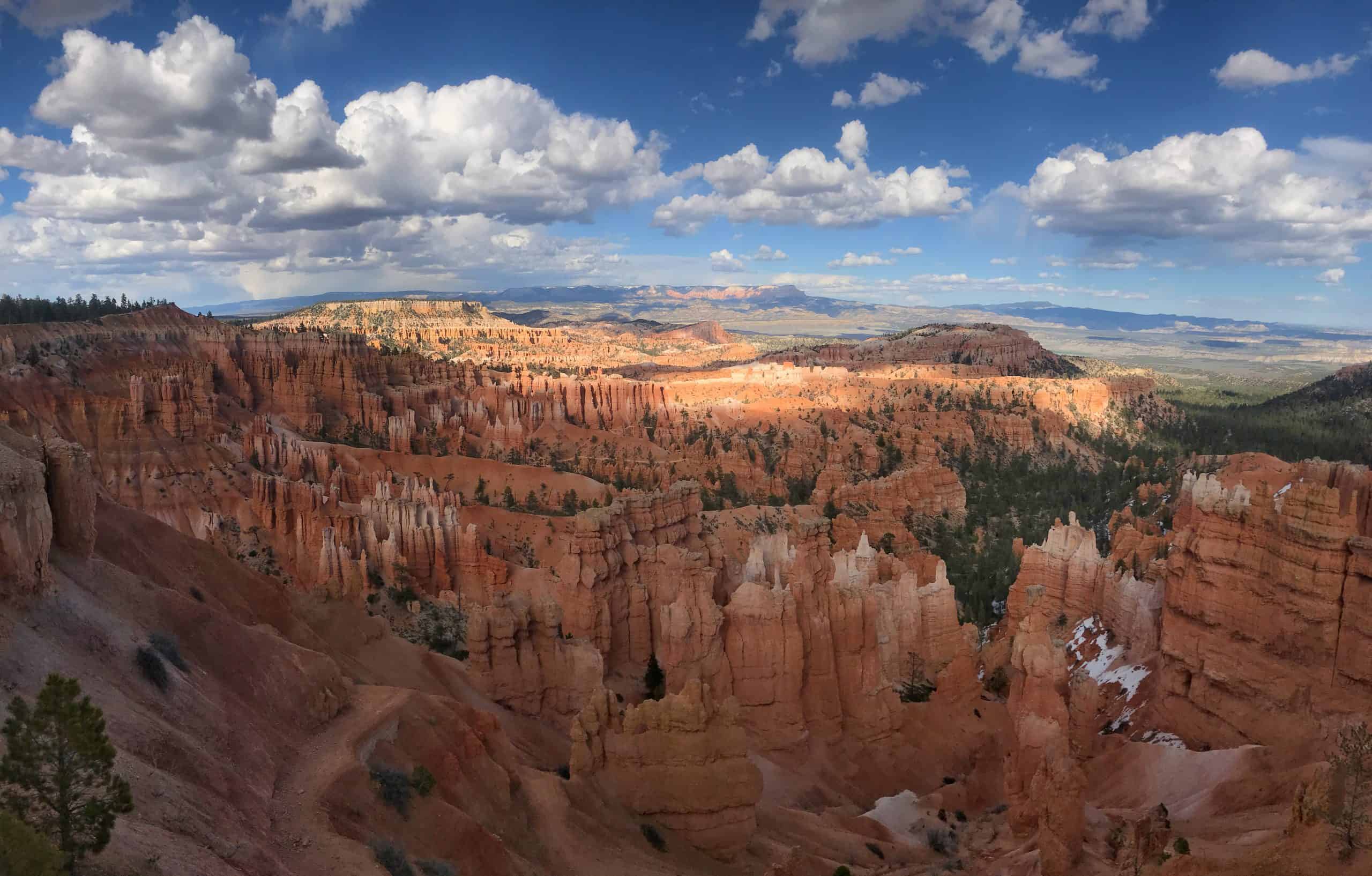 A sweeping panoramic view of the Bryce Amphitheater filled with countless red hoodoos and scattered pine trees under a bright blue sky with scattered white clouds
