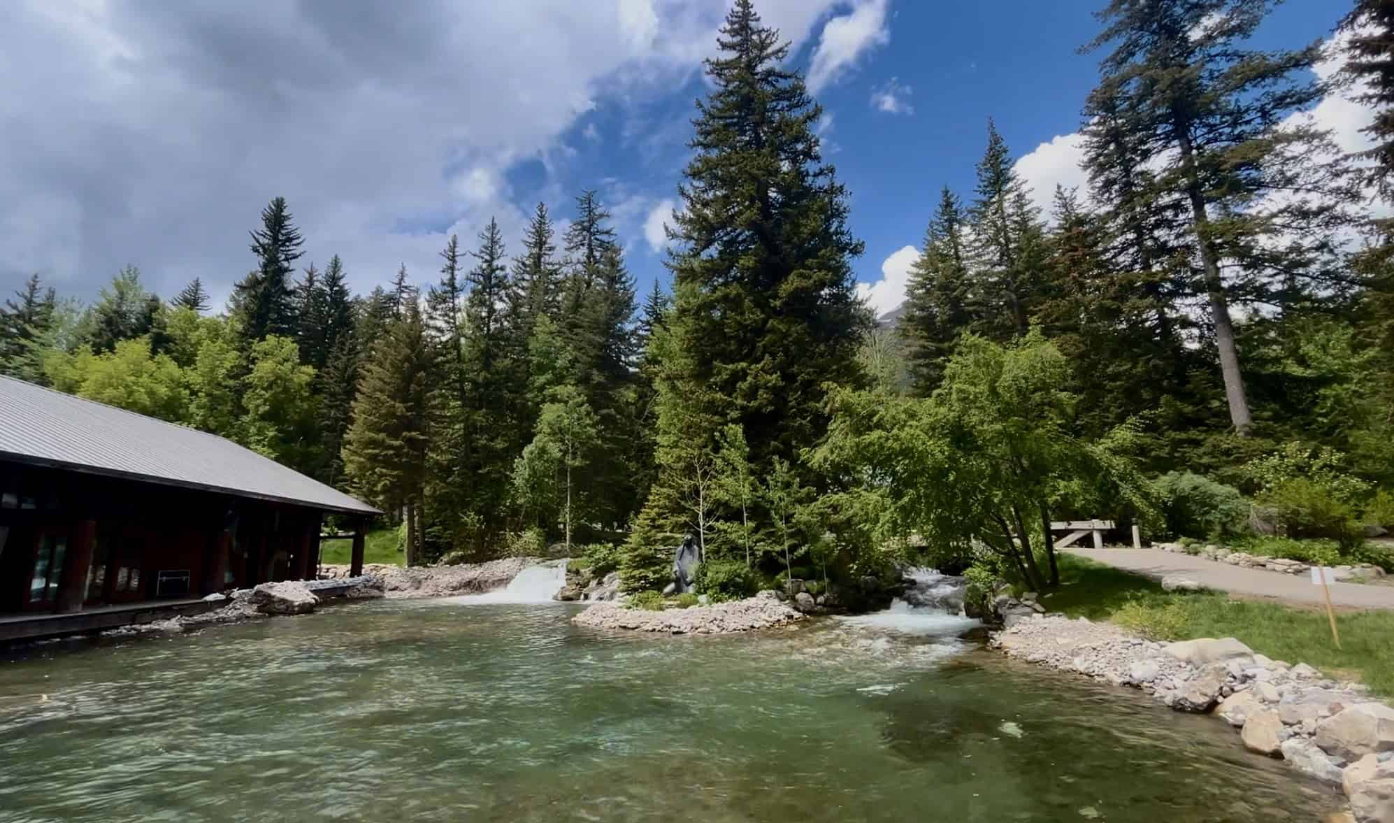 Tall evergreen trees frame a gentle stream and a modern lodge nestled in a lush forest at Sundance Resort.