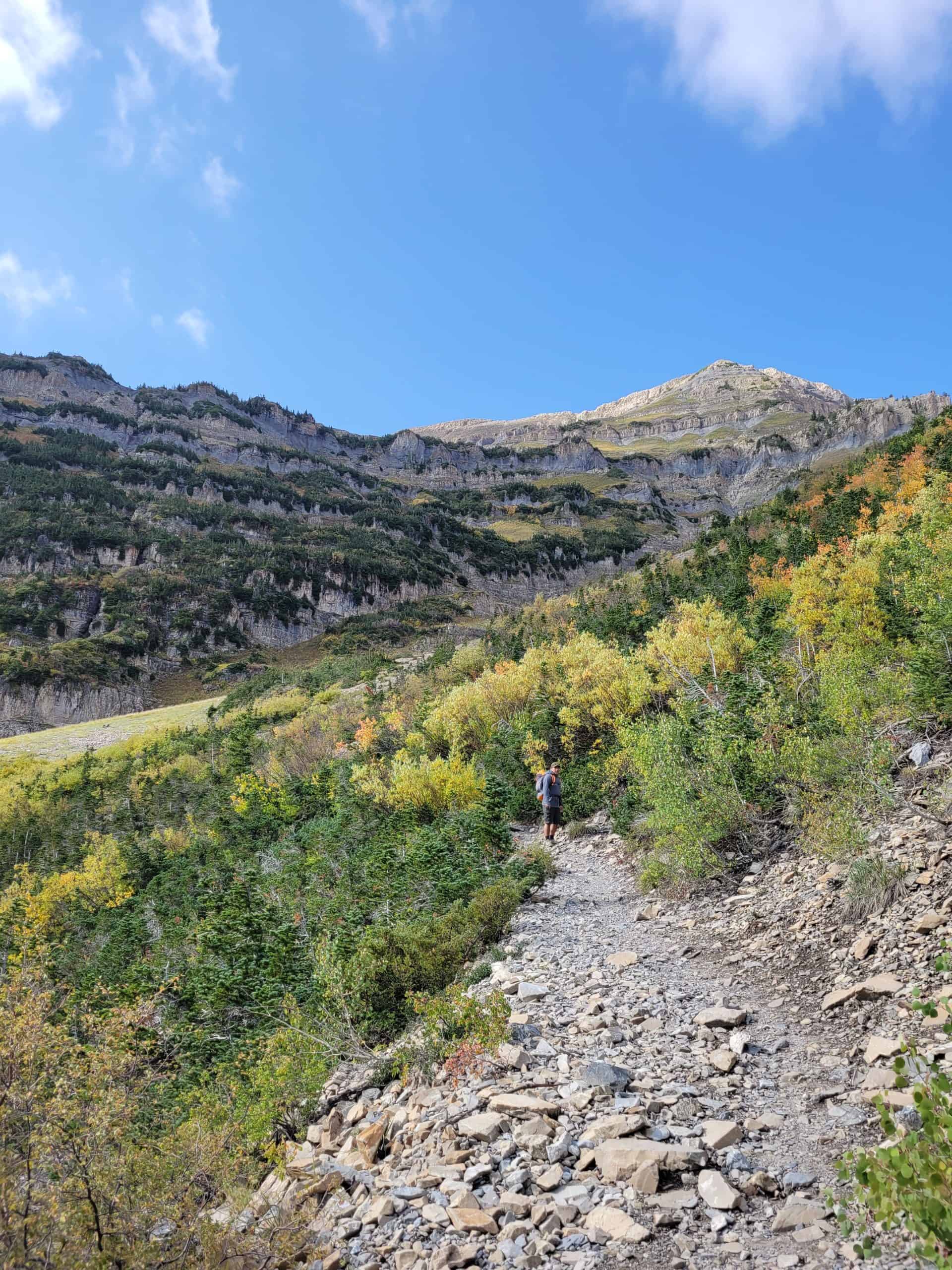 A winding rocky path on the Mount Timpanogos Hike, cuts through vibrant green and yellow shrubs toward a distant hiker and rugged mountain slopes