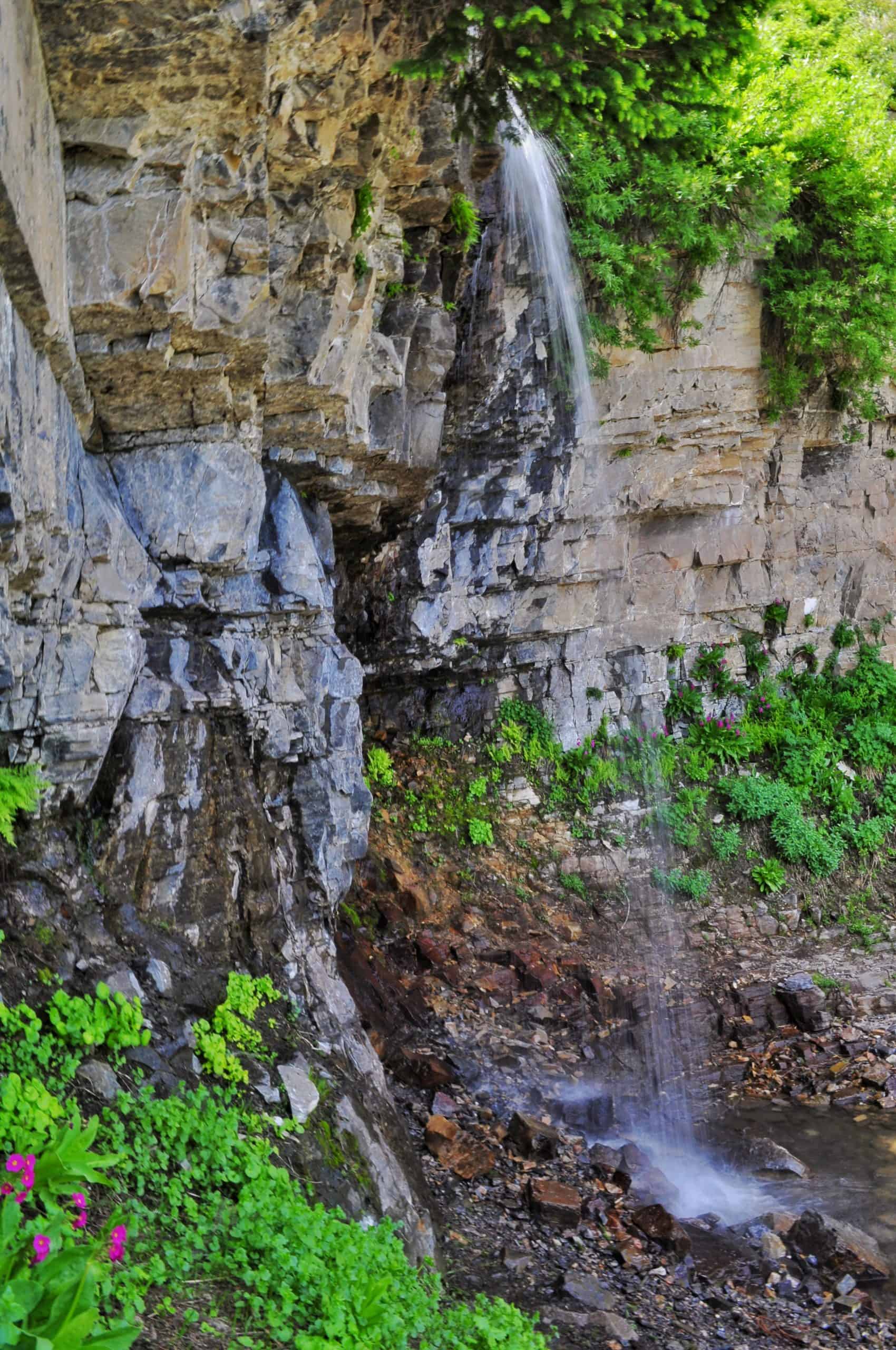 A waterfalls flows over layered rock along the Mount Timpanogos Hike. framed by bright green foliage and moss