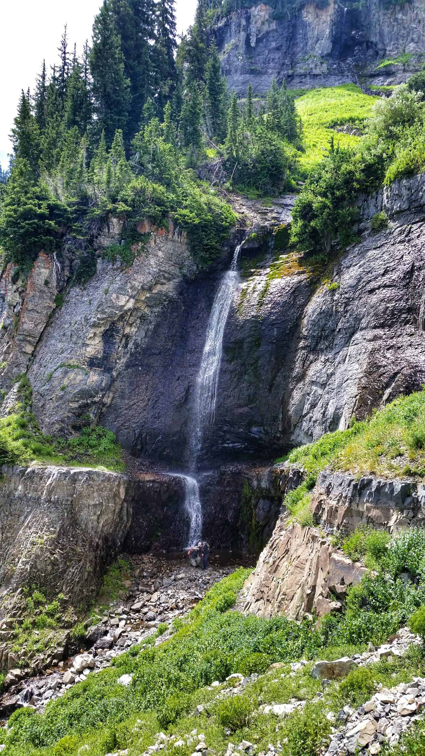 A narrow waterfall flows down a steep, dark rock face, framed by dense evergreen trees and shrubs along the Mount TImpanogos Trail